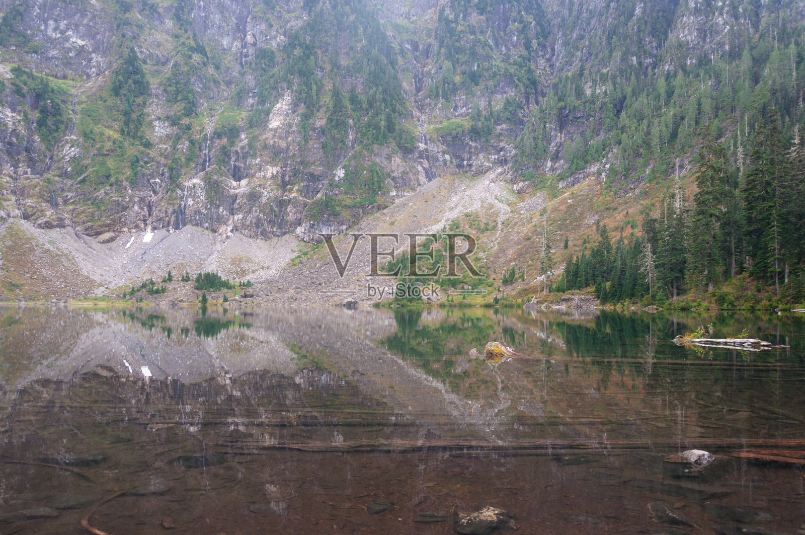 雪松倒映在22号湖中照片摄影图片