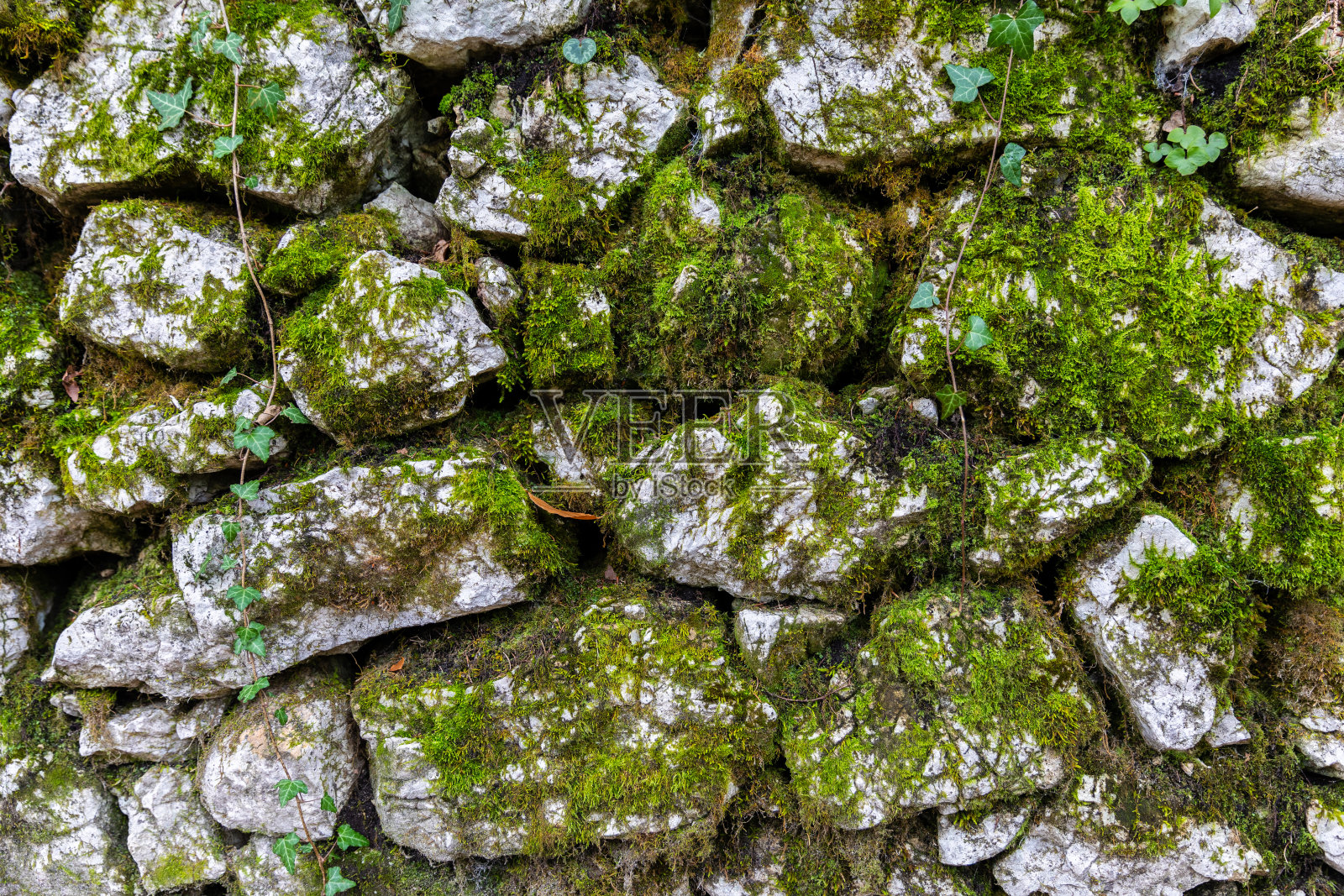 被苔藓覆盖的排列整齐的岩石墙。照片摄影图片