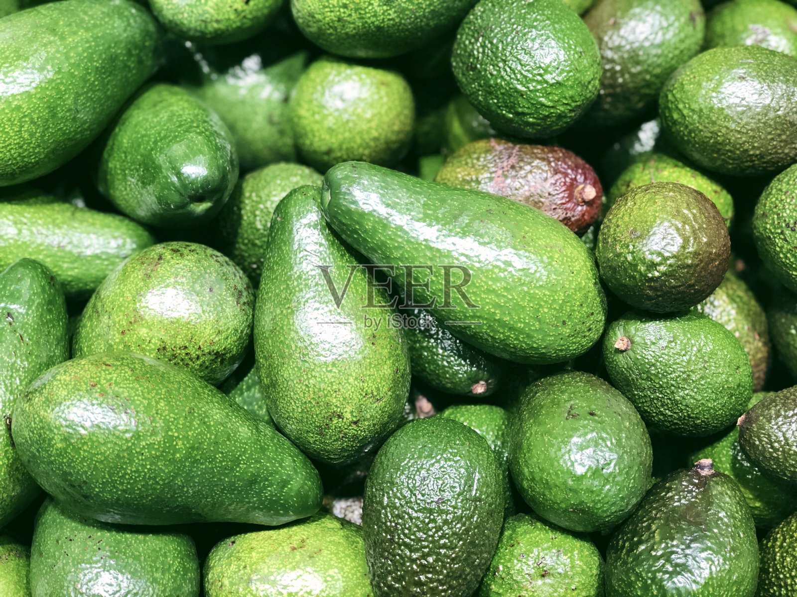 鳄梨收获的食物模式照片摄影图片