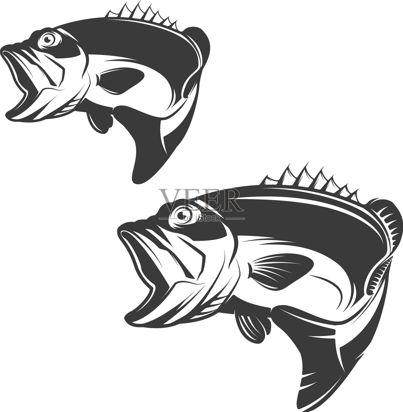 一组鲈鱼图标孤立在白色设计元素图片