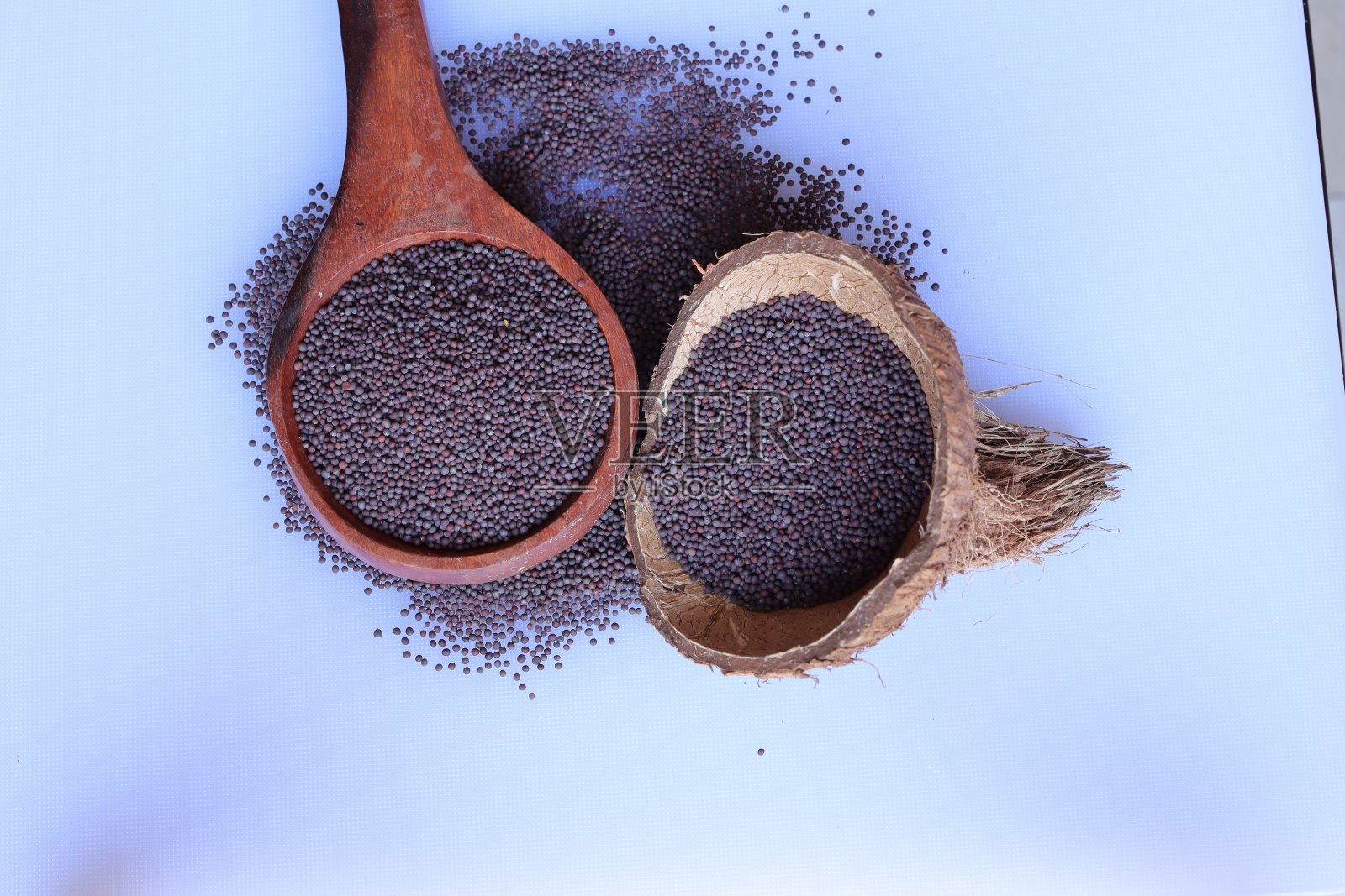 在白色背景上分离的集合种子照片摄影图片