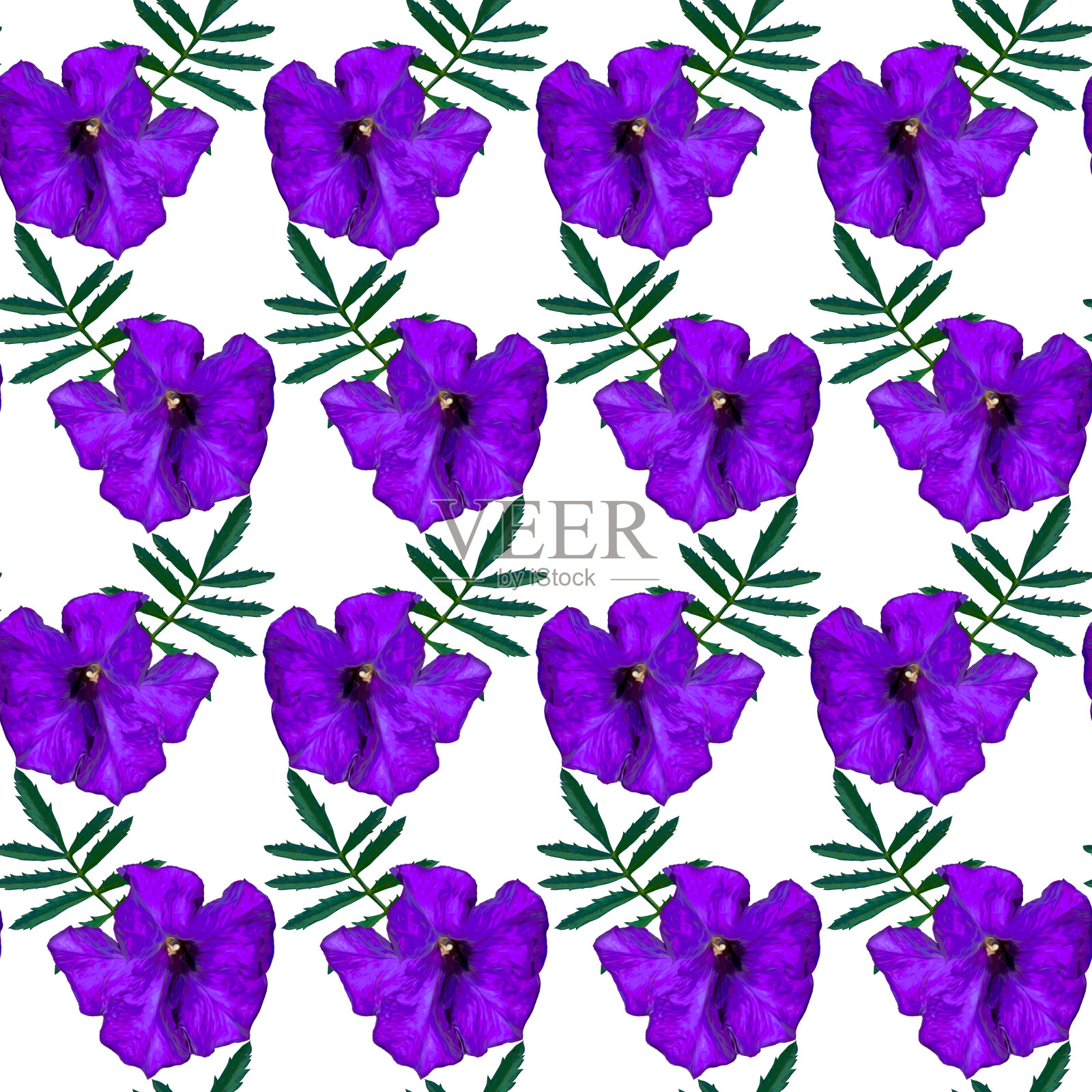 无缝图案与紫色矮牵牛花和绿色的叶子在白色的背景。五彩缤纷的花卉纹理。光栅插图。照片摄影图片