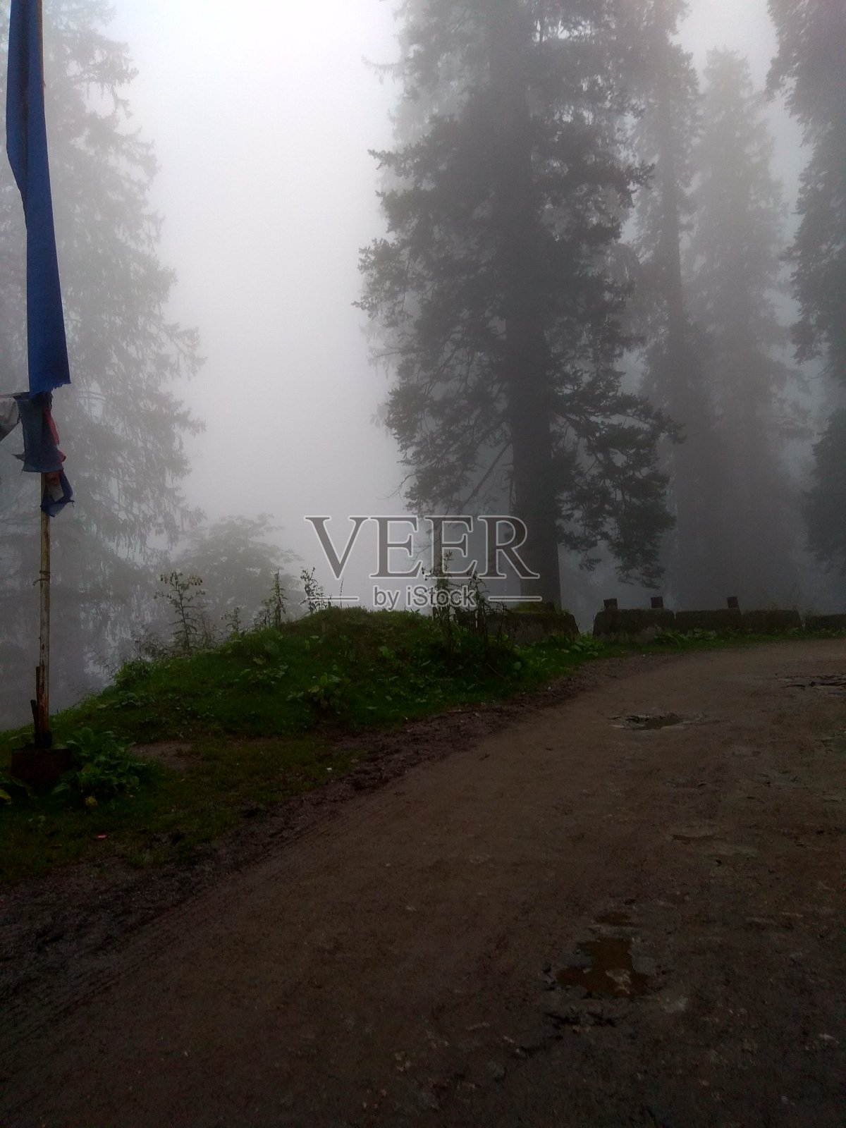 有山脉和树木的喜马拉雅图像照片摄影图片