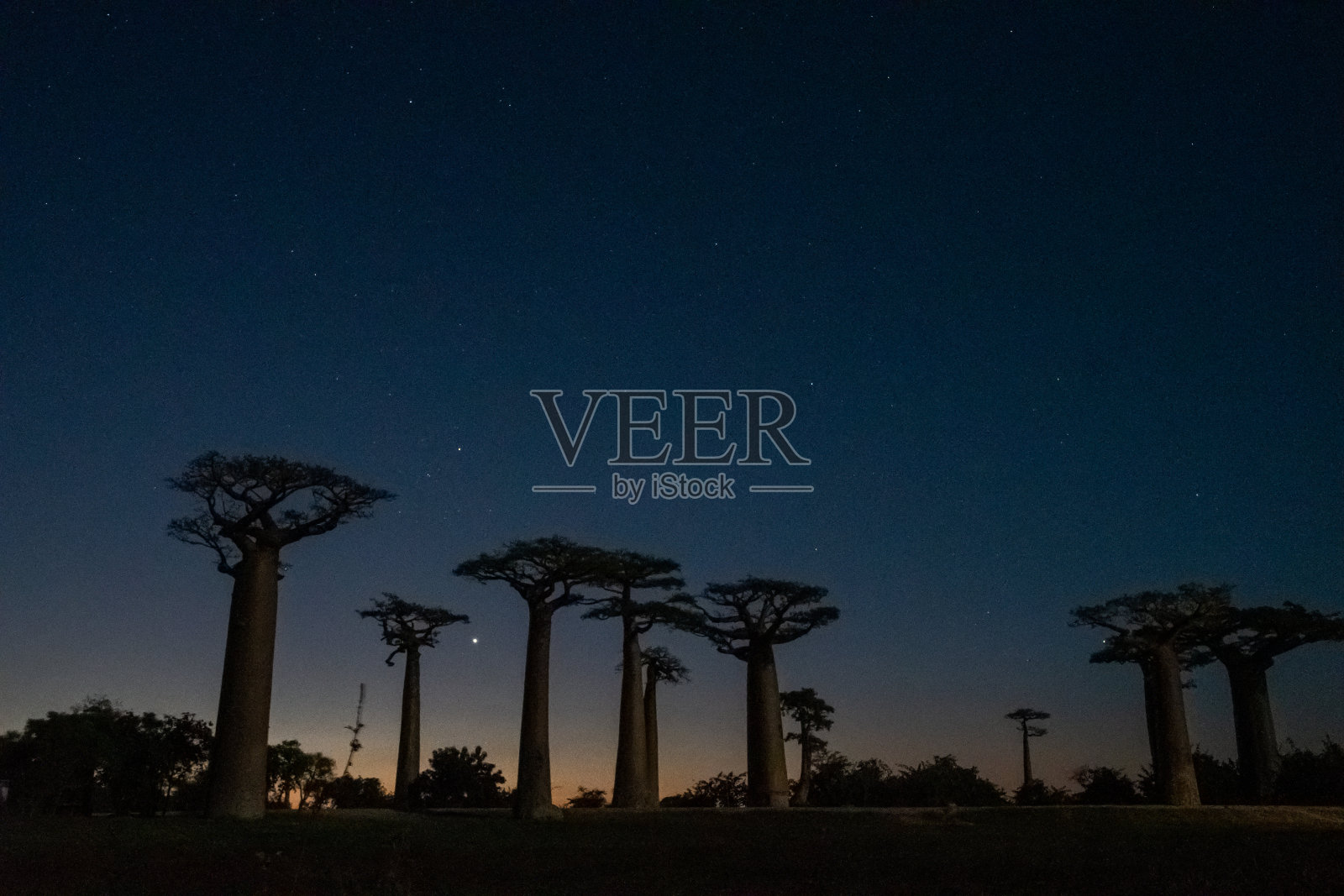 马达加斯加猴面包树路上的日出和日落照片摄影图片