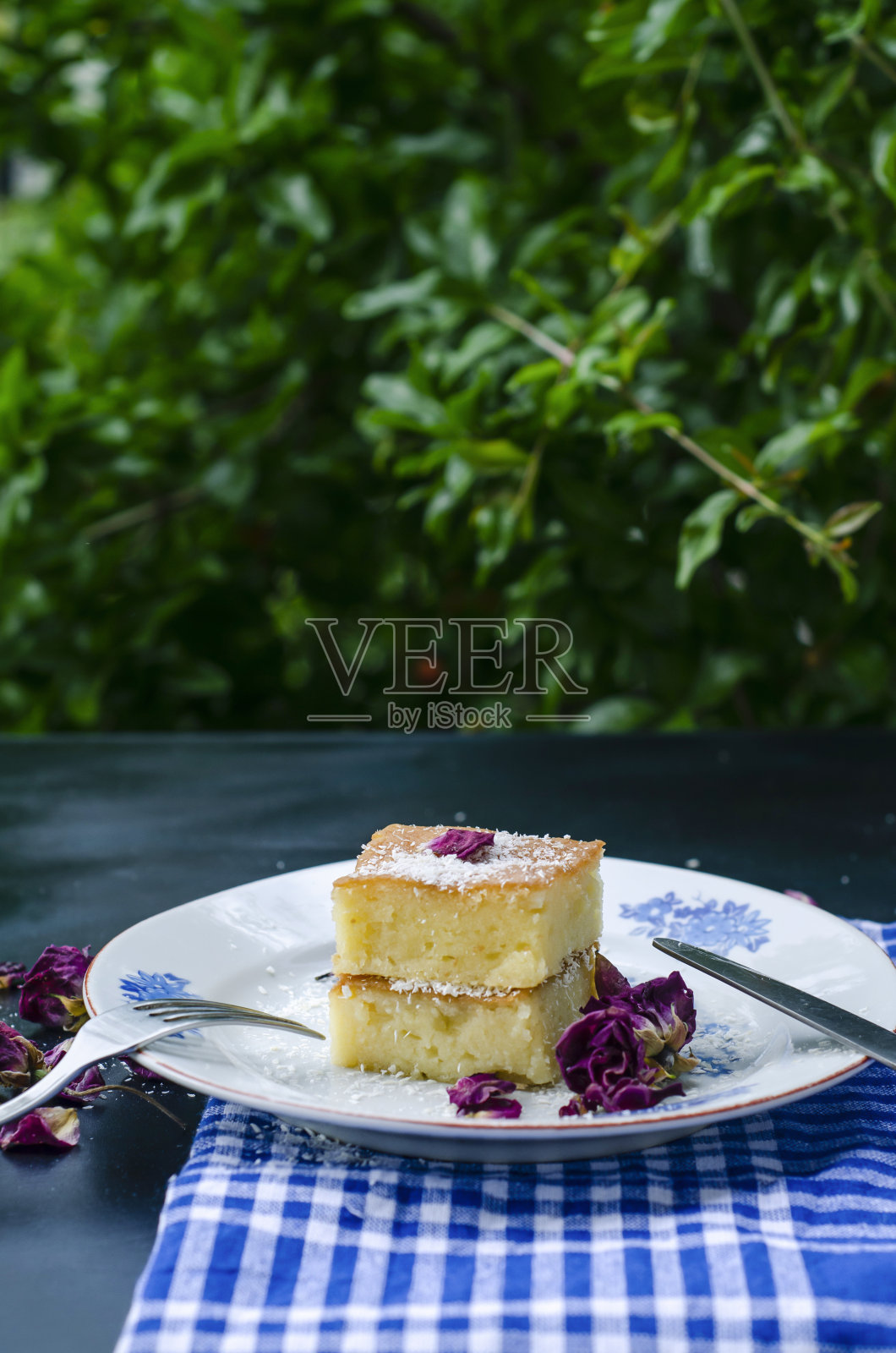 切片蛋糕上正宗的盘子照片摄影图片