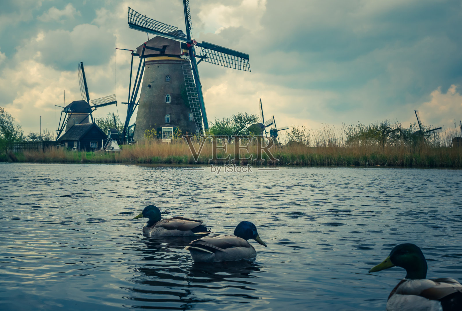 假期的照片照片摄影图片