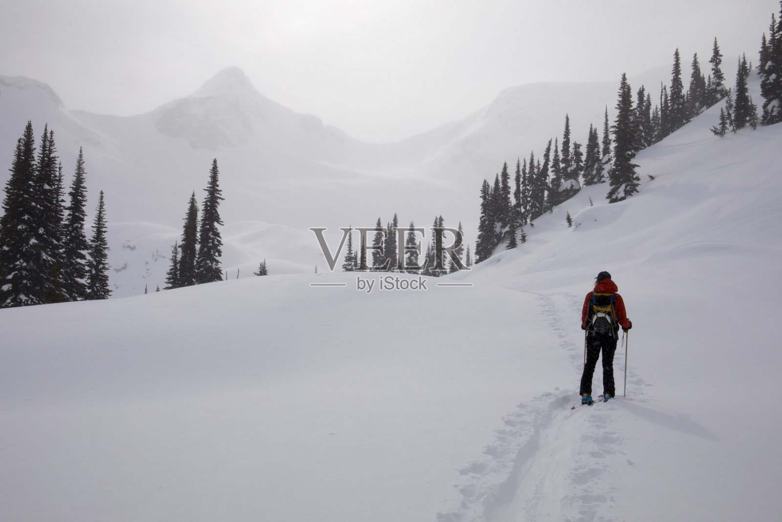 年轻女子在野外滑雪穿越高山照片摄影图片