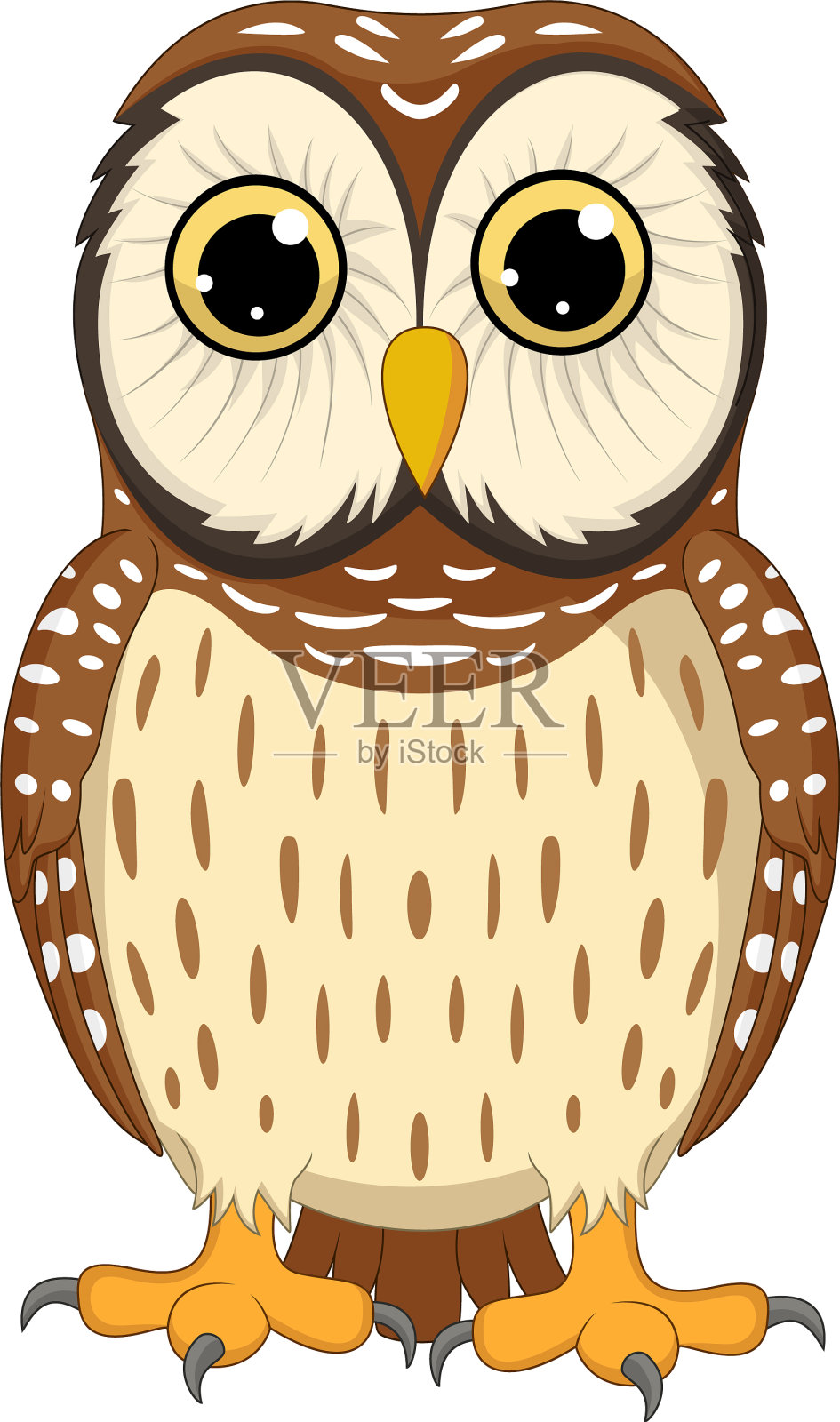 卡通猫头鹰孤立的白色背景设计元素图片