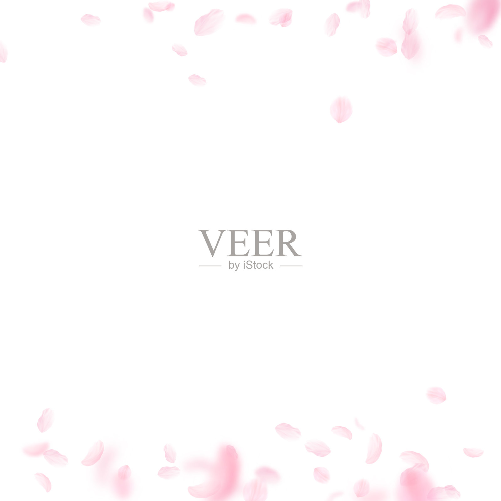 樱花花瓣飘落，浪漫的粉红色花朵插画图片素材