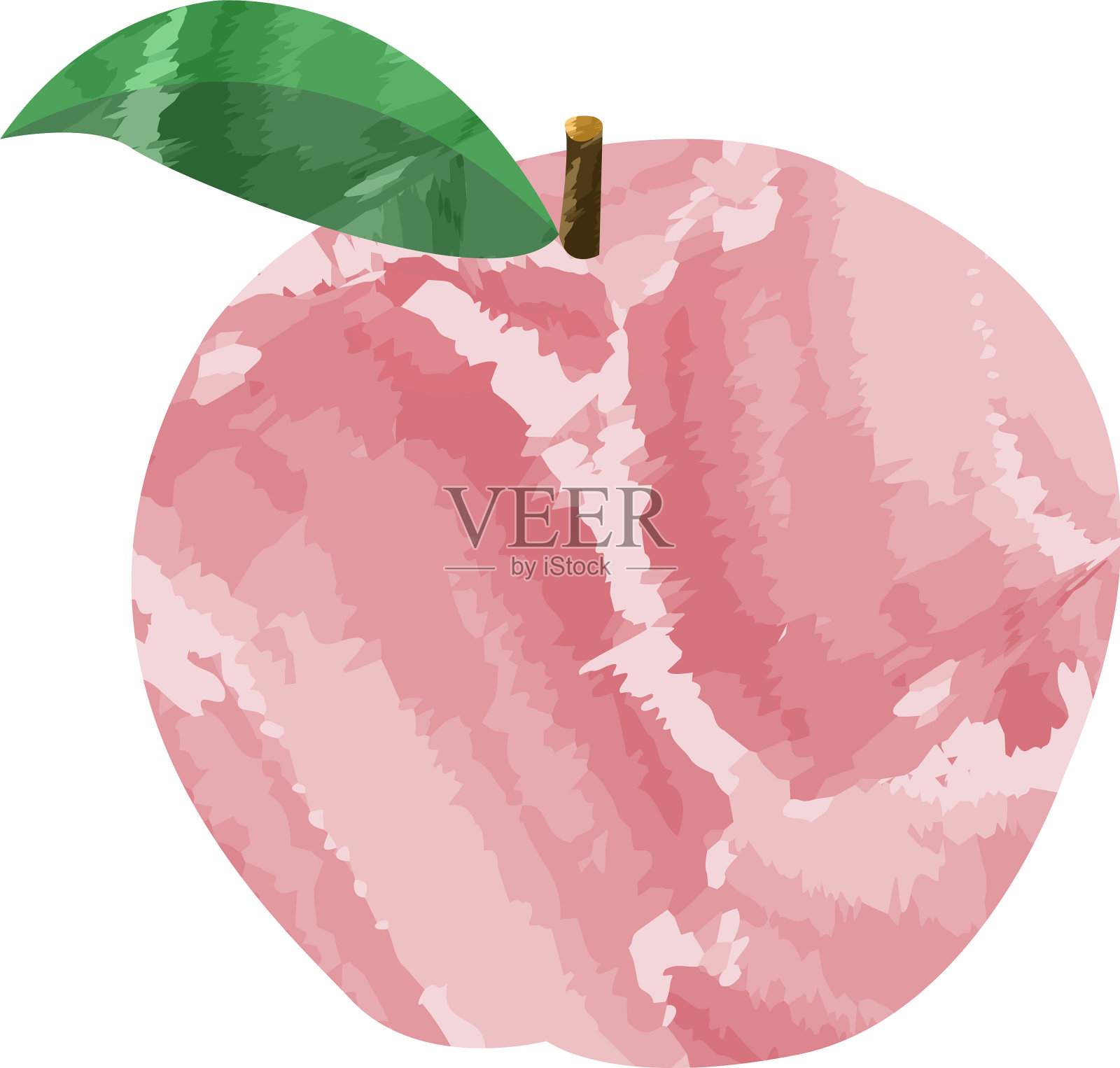 孤立的彩色苹果插画图片素材