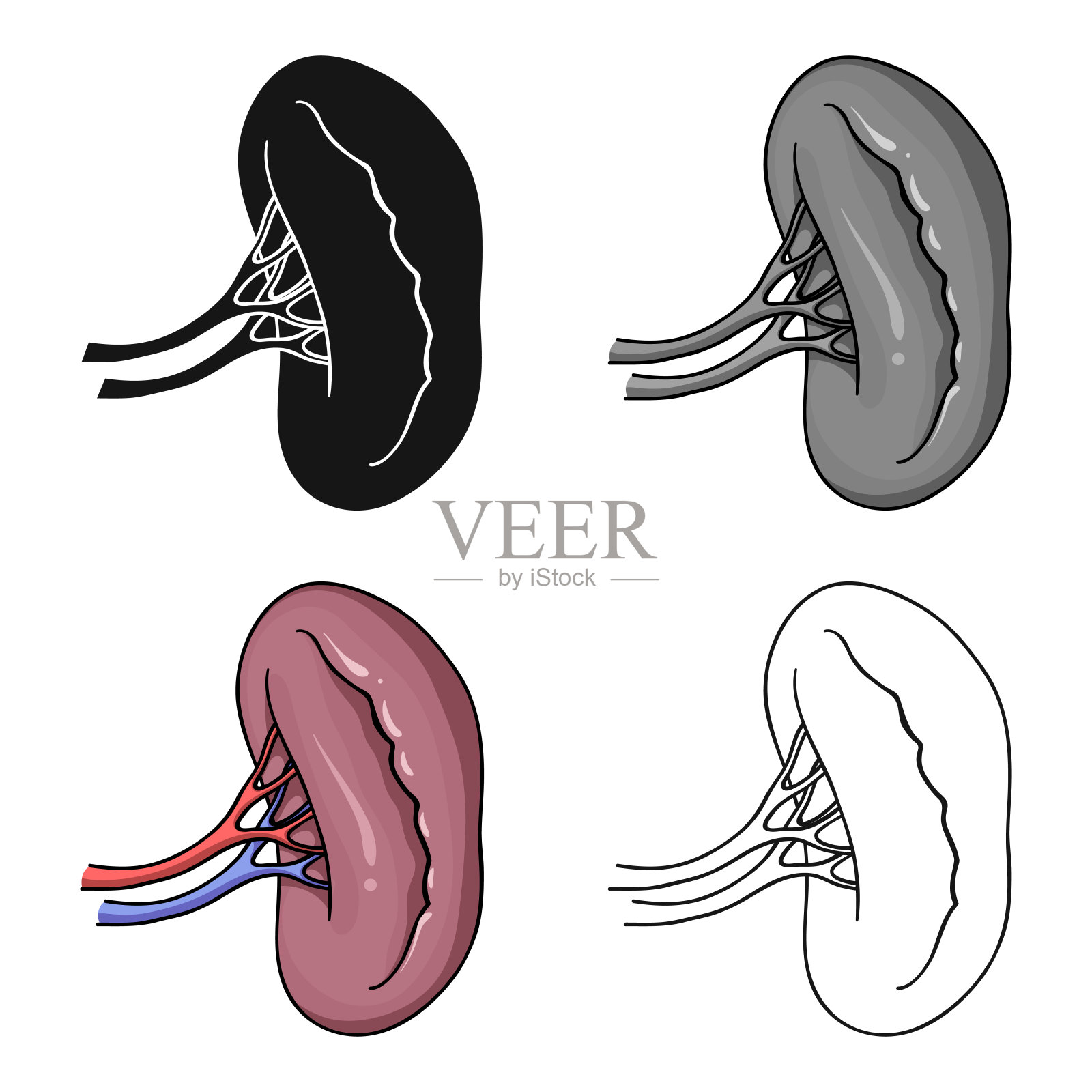 人肾图标在卡通风格孤立上插画图片素材