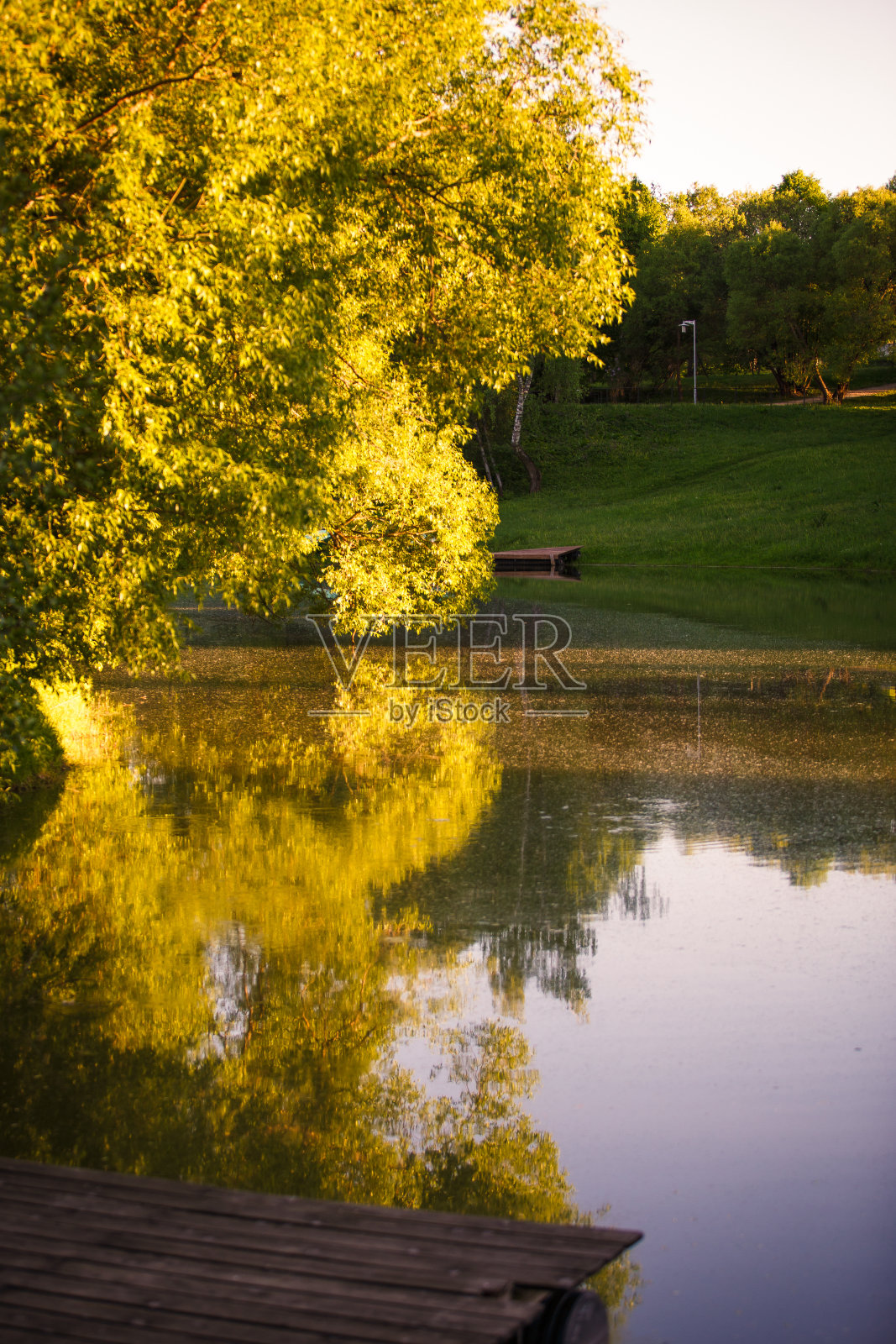 湖在绿色的树木和蒲公英的田野之间。照片摄影图片