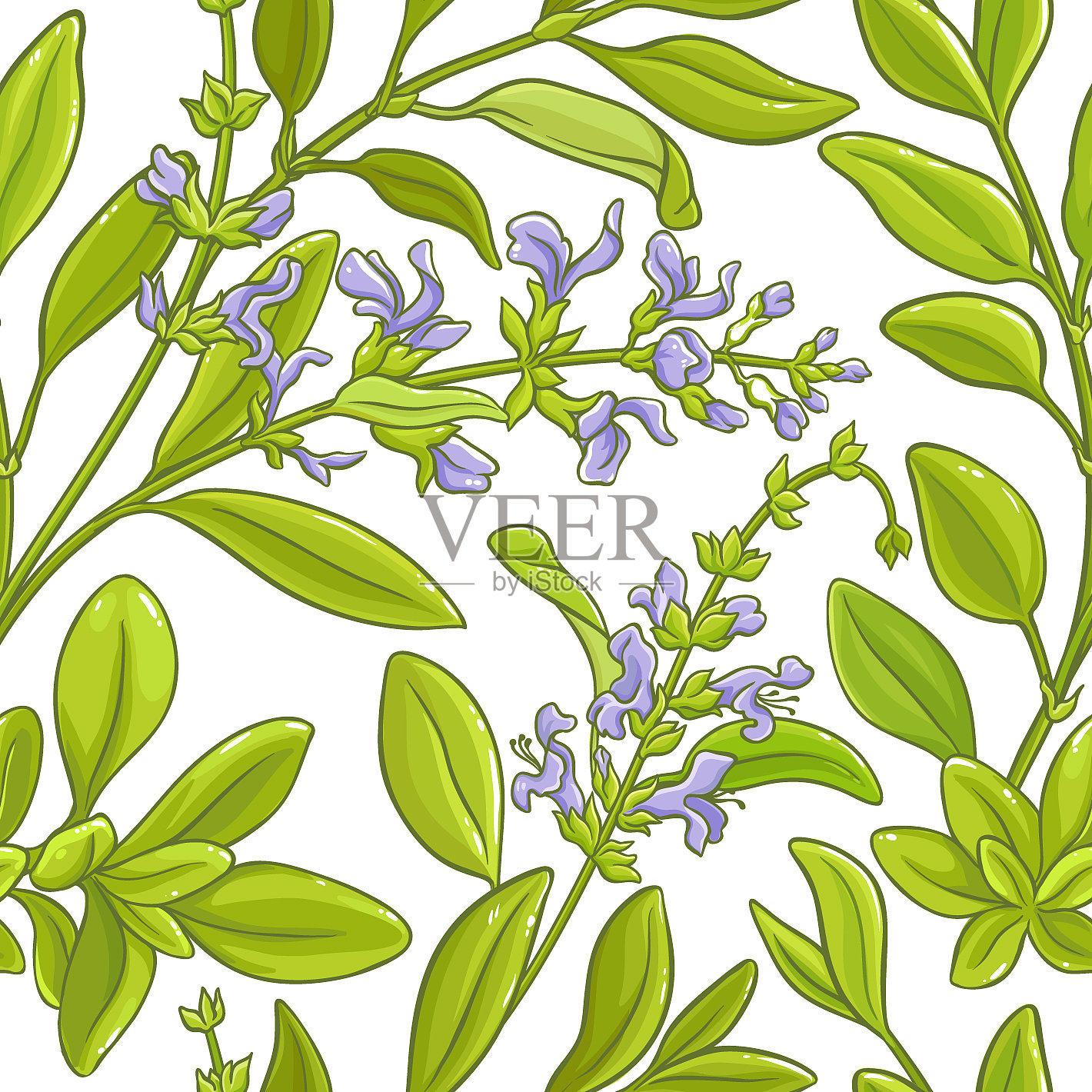 圣人分支模式插画图片素材