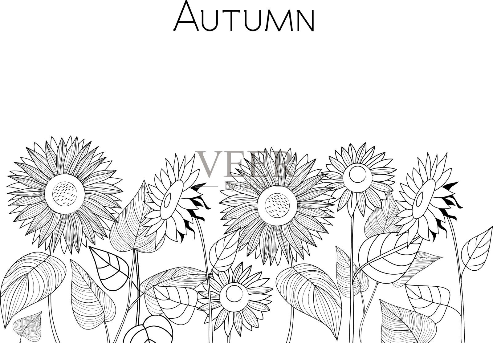 向日葵黑白秋卡插画图片素材