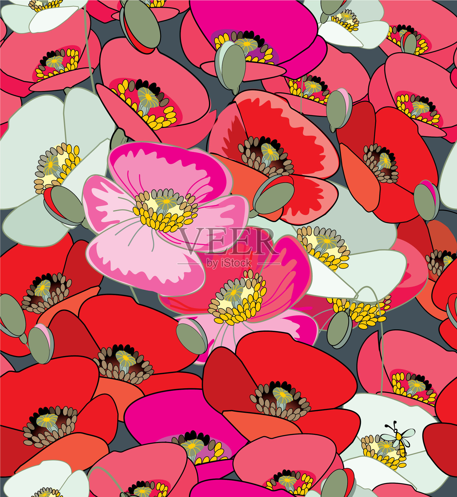 红色，紫色和白色的罂粟花和蜜蜂插画图片素材