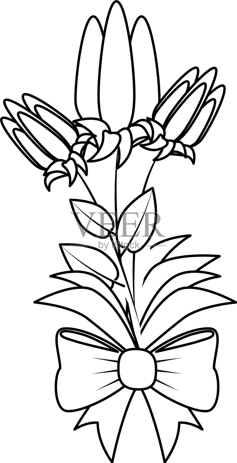 美丽的花朵设计设计元素图片