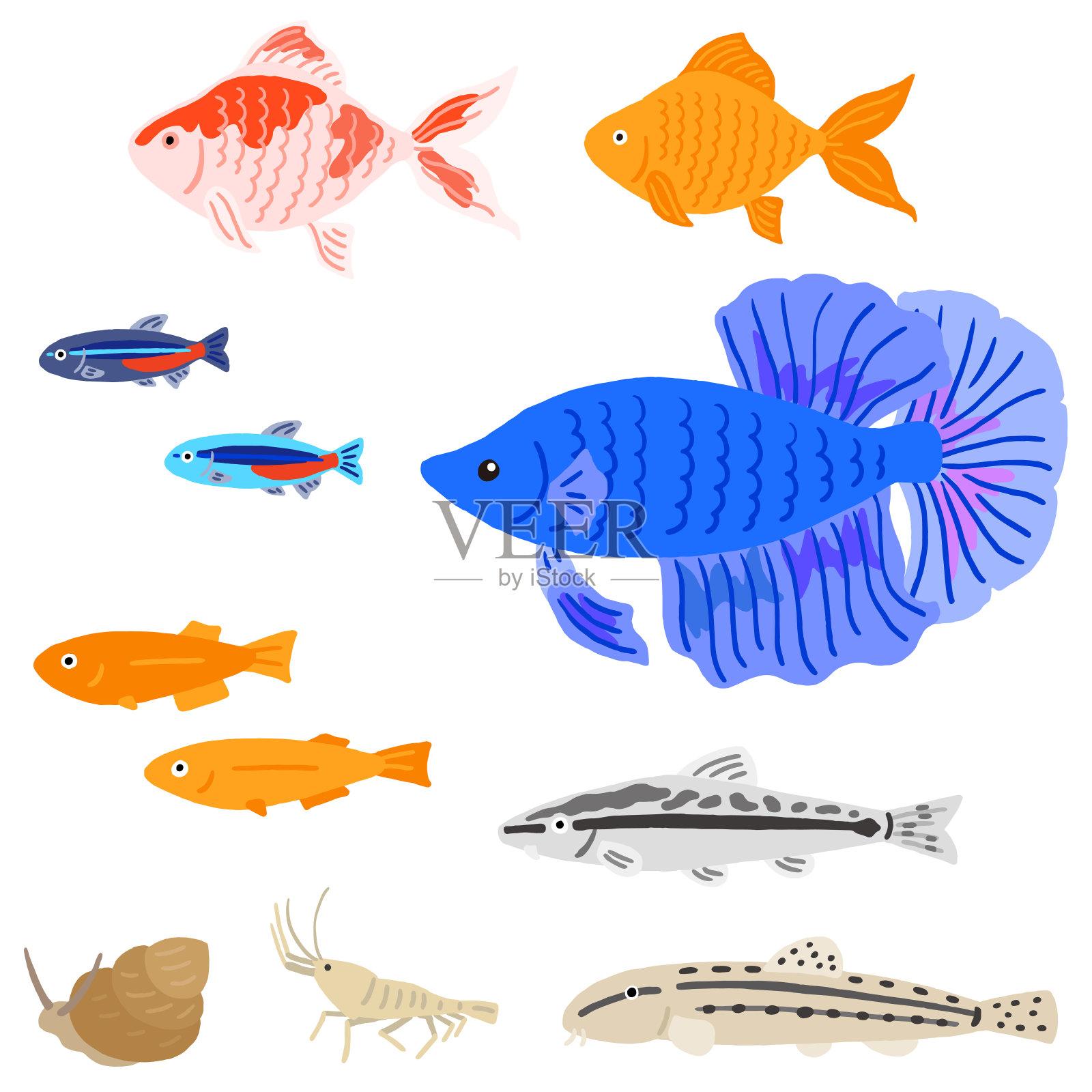 日本水族馆的宠物鱼设计元素图片