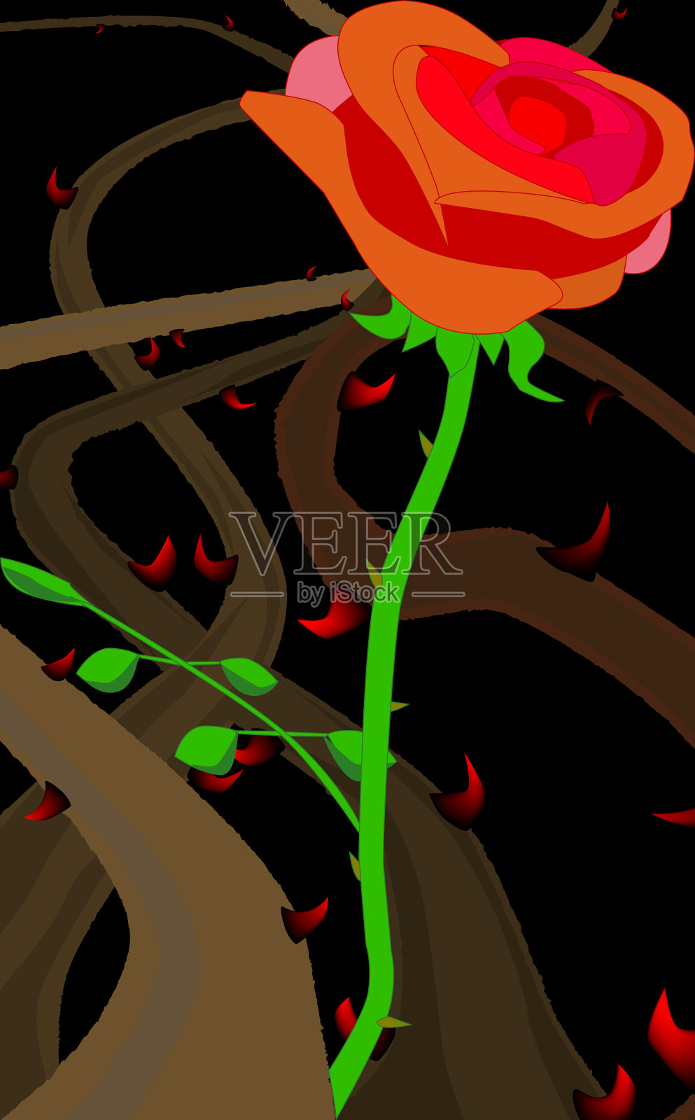 玫瑰的刺和荆棘插画图片素材