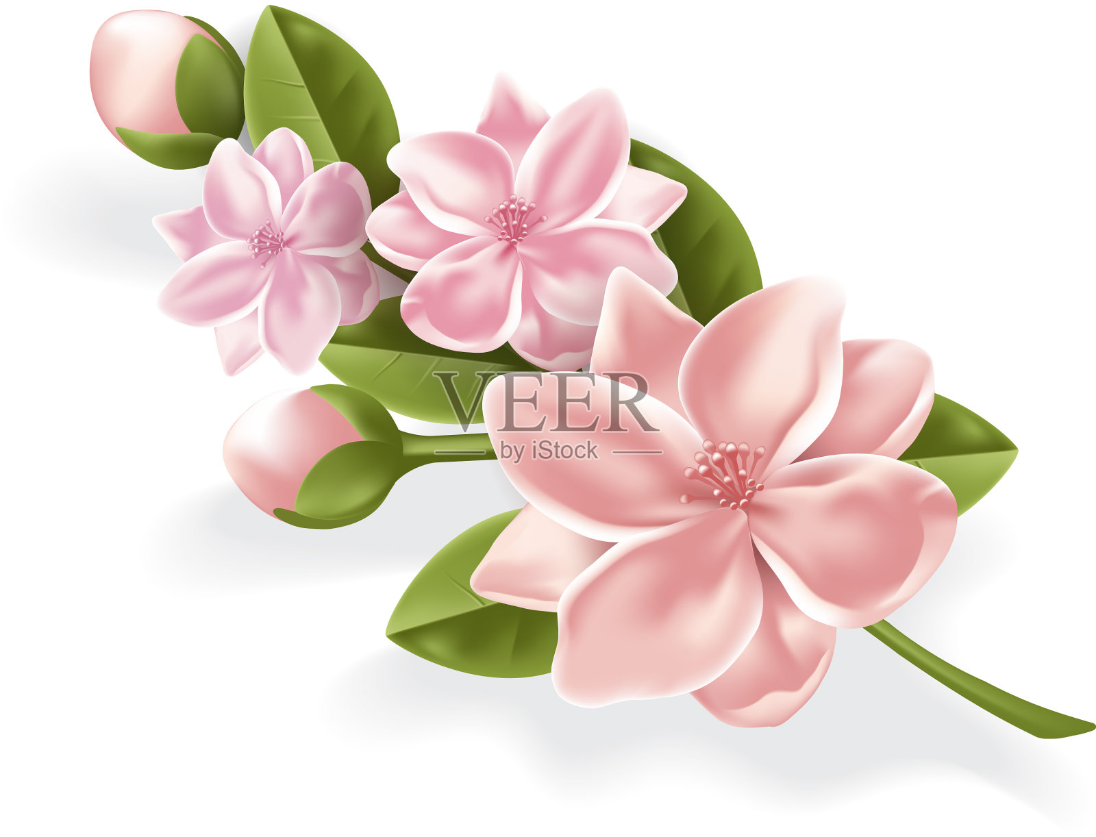 逼真的粉色樱花莲花枝设计元素图片