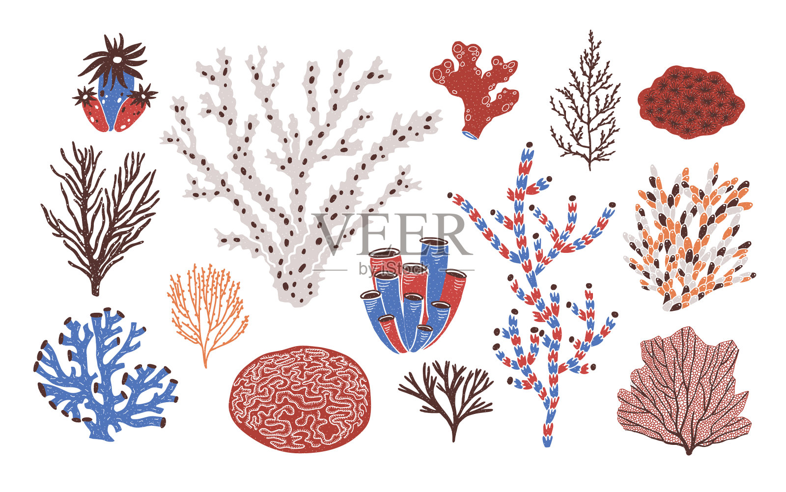 收集各种珊瑚、海藻或藻类的植物设计元素图片