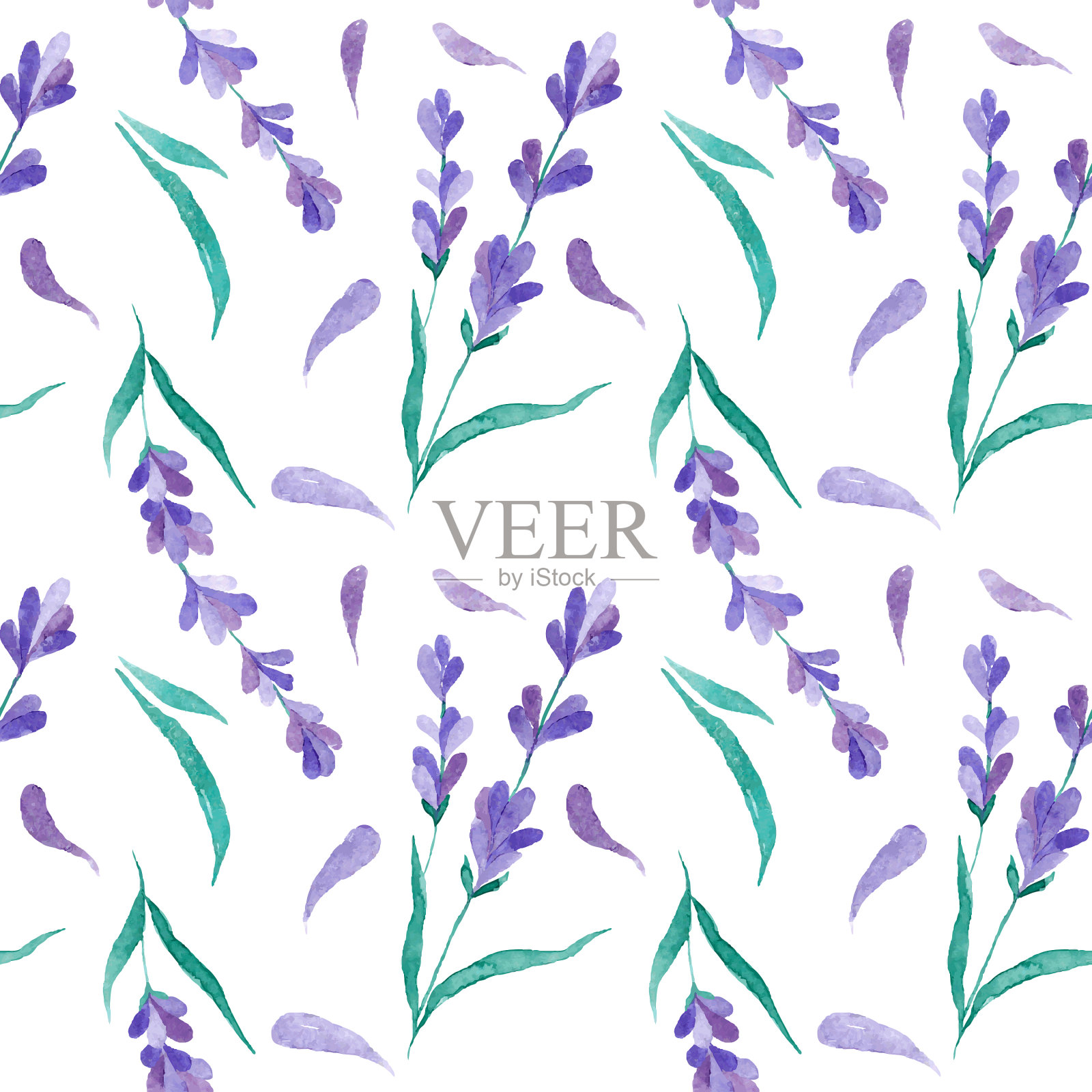 水彩图案与薰衣草手插画图片素材