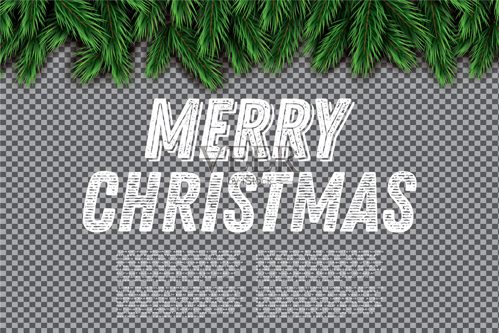 杉树枝在透明的背景上欢快插画图片素材