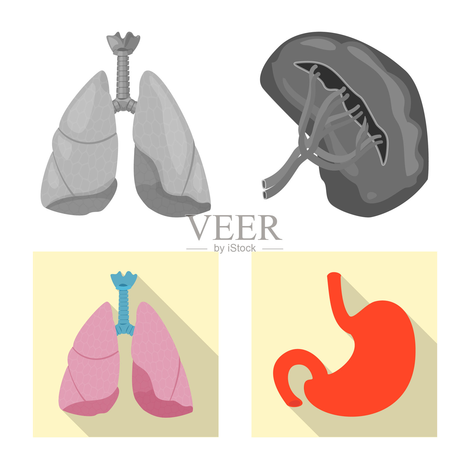 孤立物体的身体和人体符号集图标素材