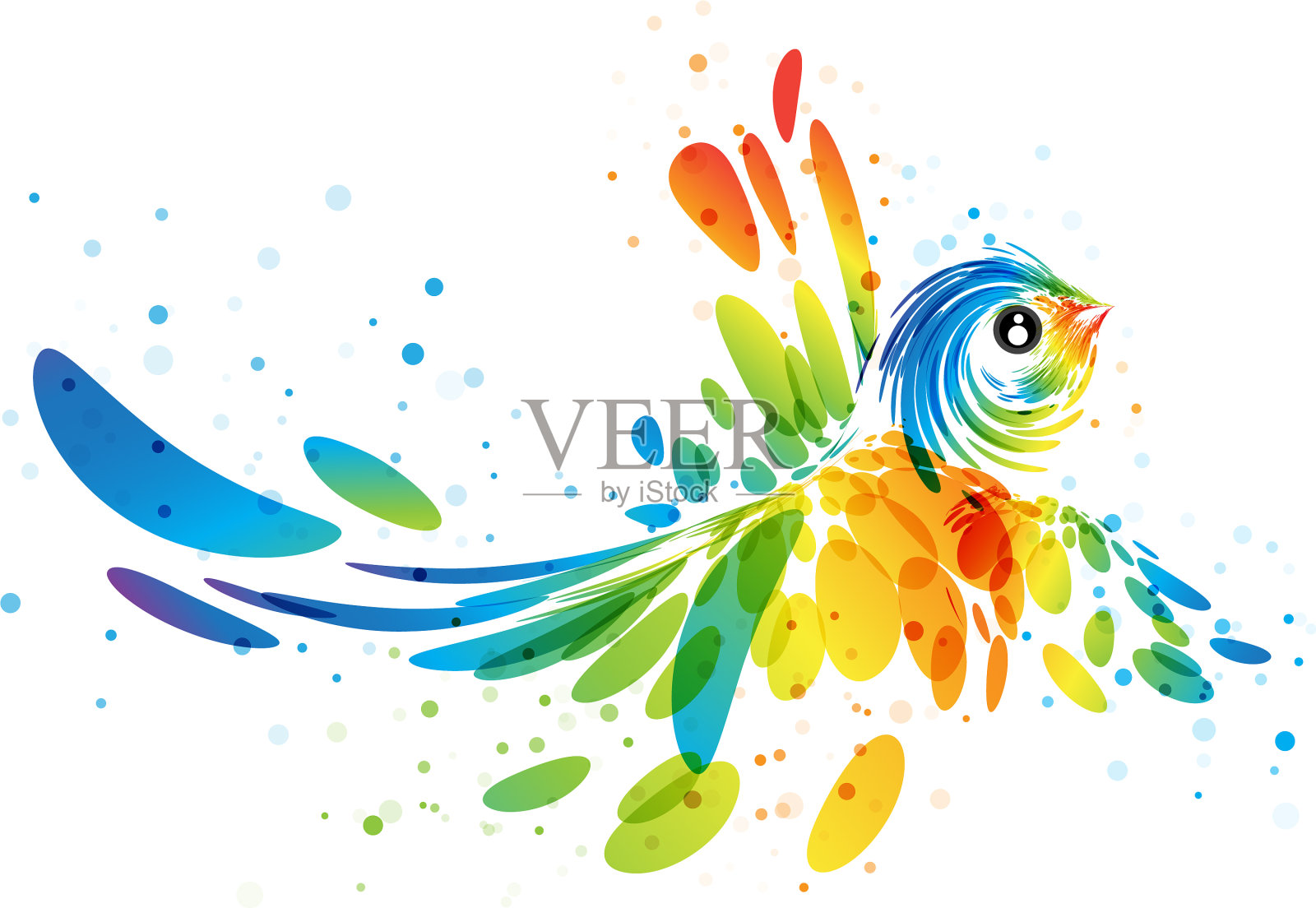 幻想色彩斑斓的鸟插画图片素材