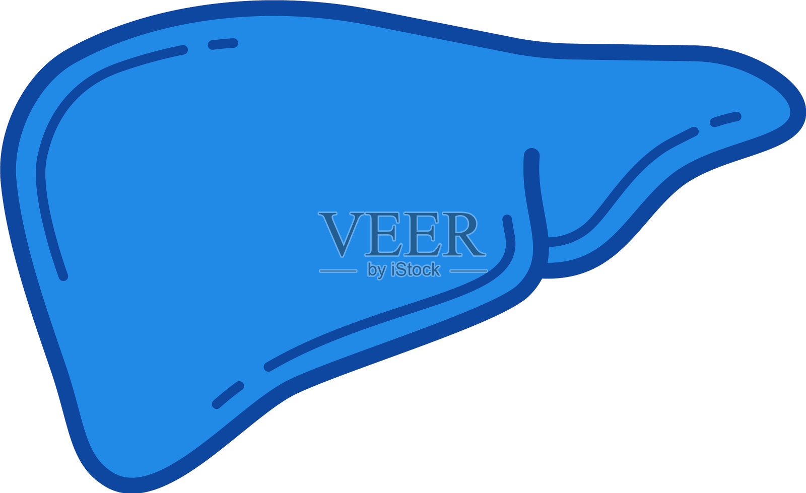 人肝线图标插画图片素材