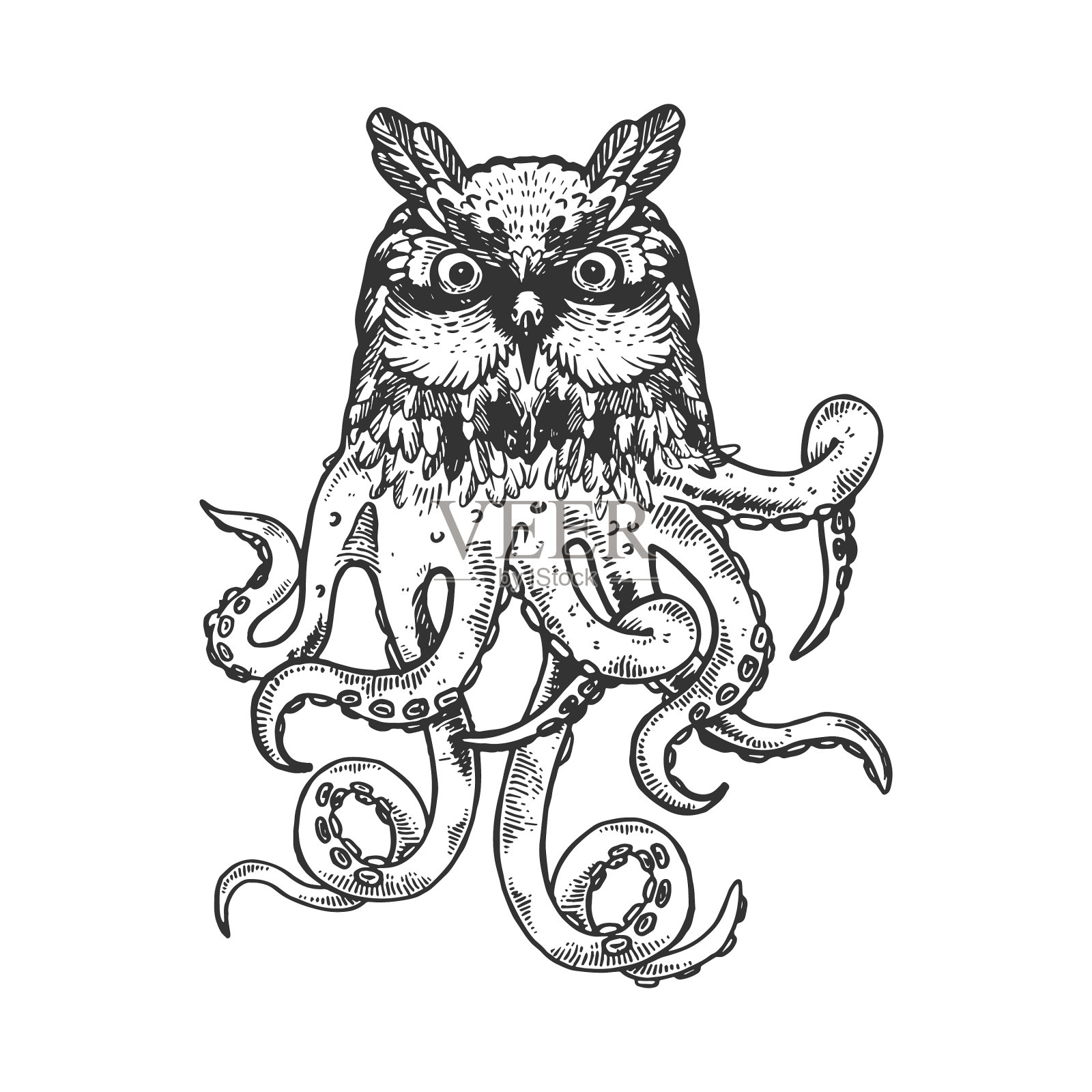 神奇的猫头鹰章鱼动物雕刻设计元素图片