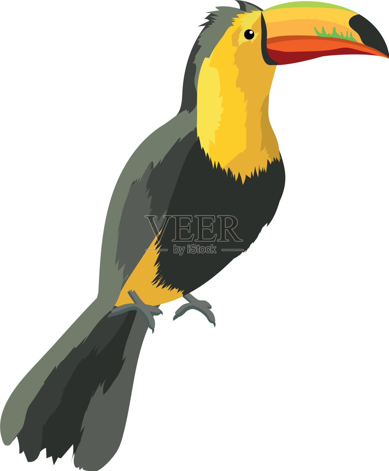 奇异的热带鸟设计元素图片