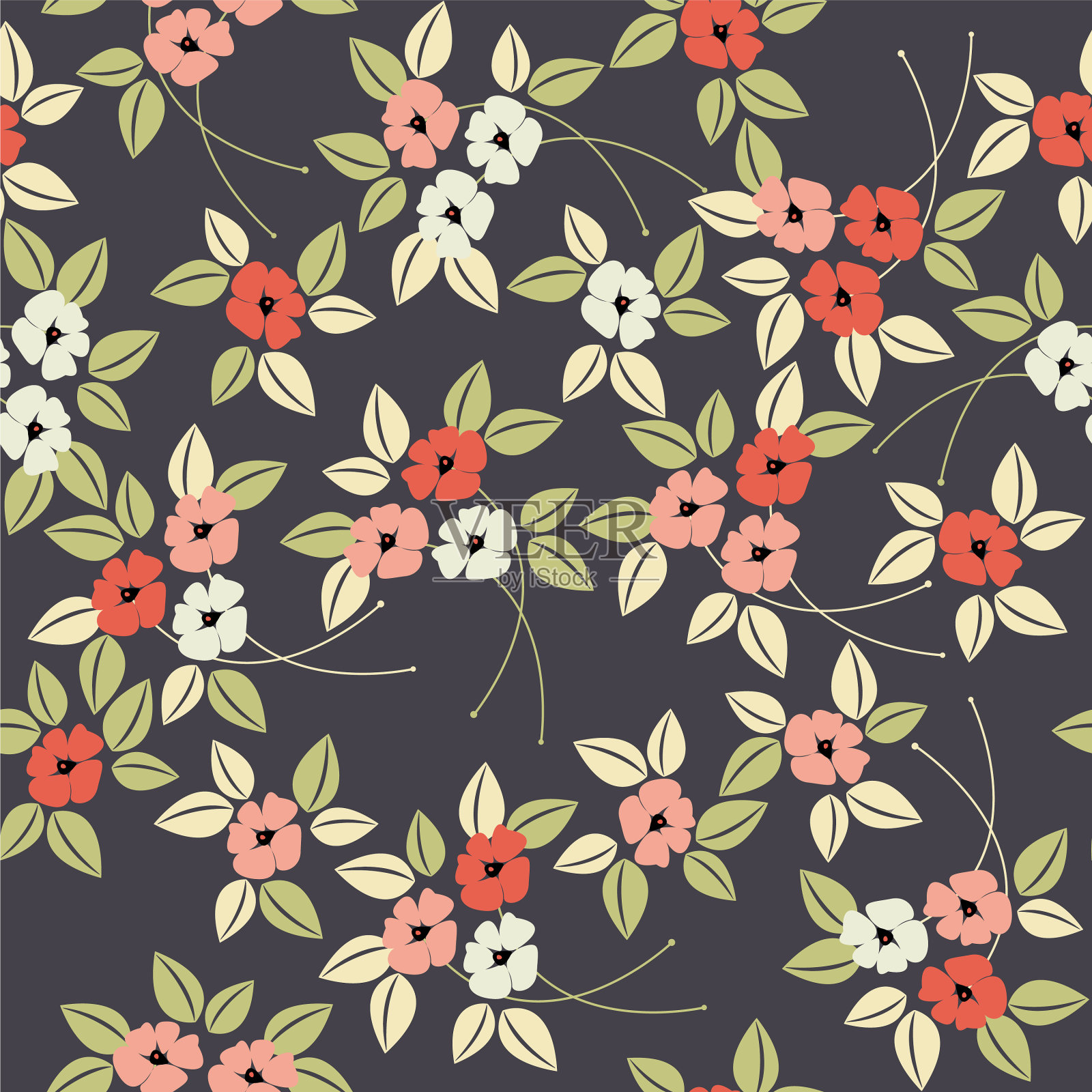 优雅的框架，经典的点缀插画图片素材