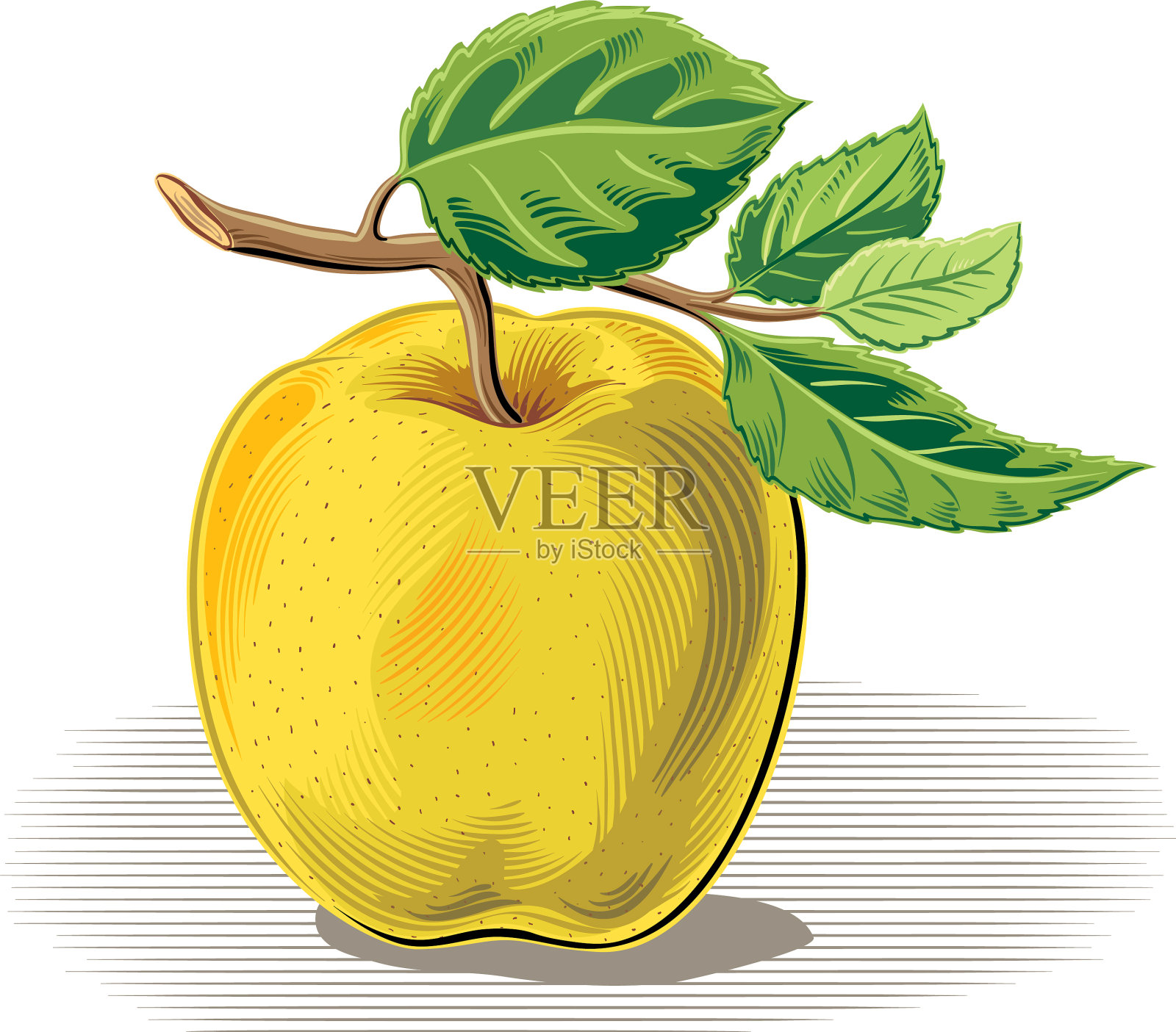 黄色的苹果插画图片素材