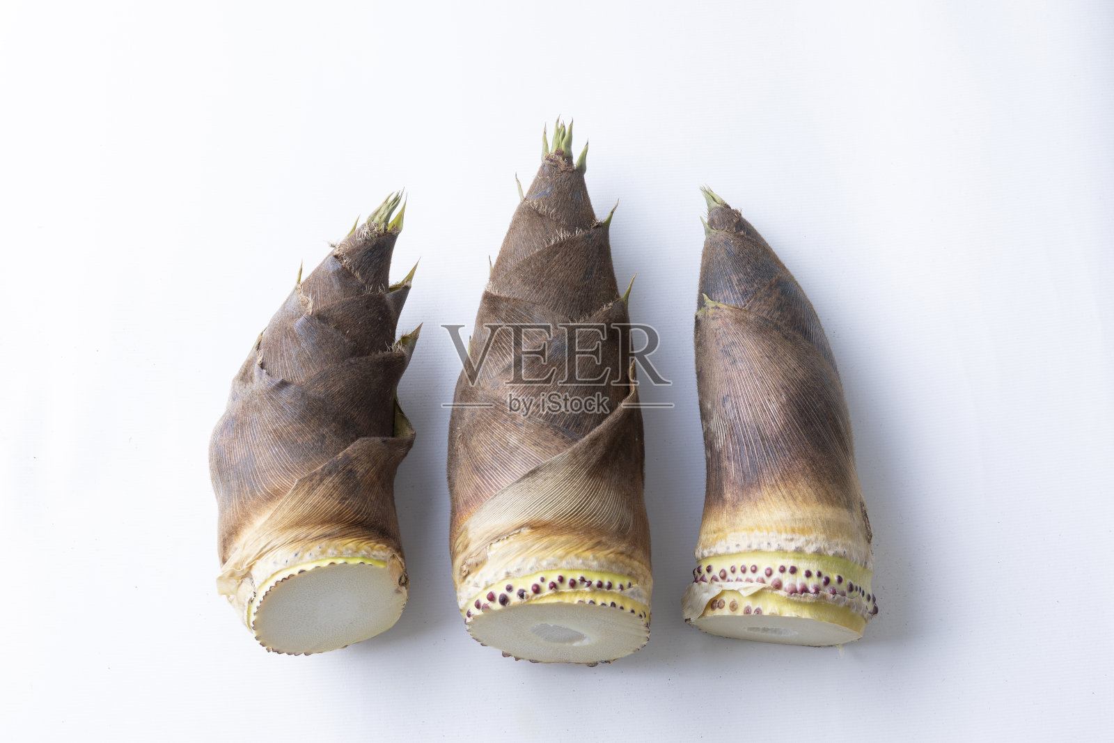 新鲜美味的竹笋排成一排照片摄影图片