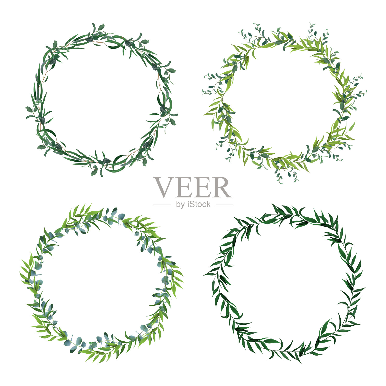 圆叶边界。绿叶圈花环，花架，装饰圈请柬。花卉装饰孤立矢量图标集插画图片素材