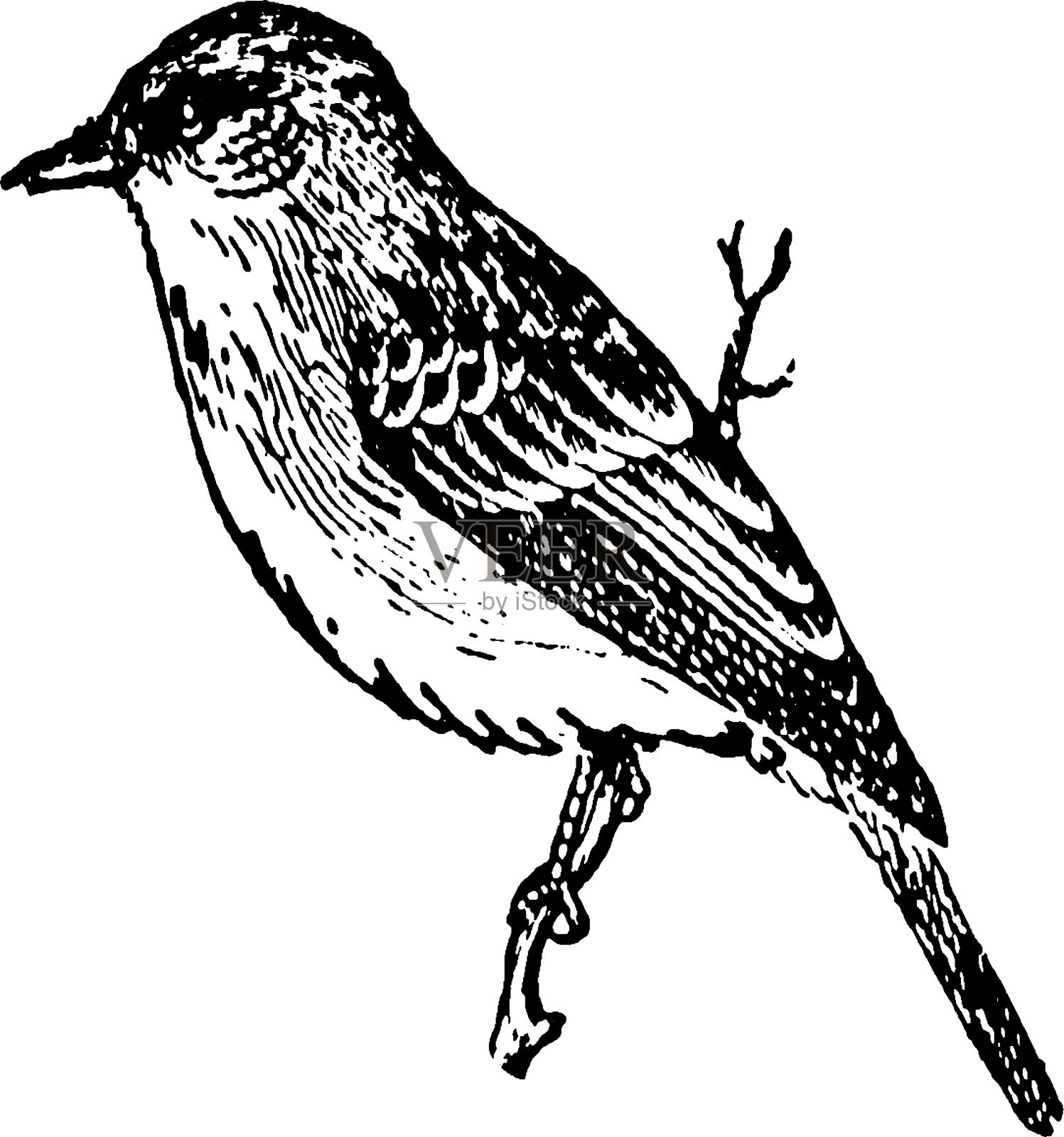 京燕的年份设计元素图片