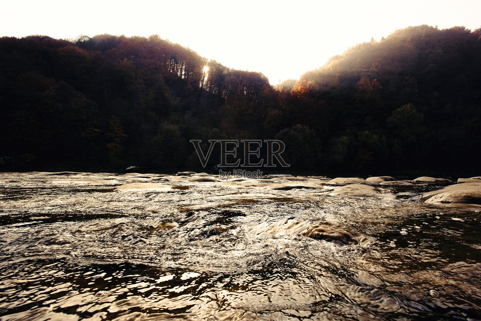 美丽的秋日树林和阳光下的河流，令人叹为观止的风景在乌克兰山脉，国家公园照片摄影图片