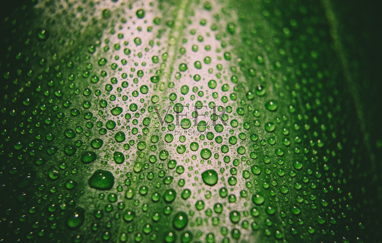 水滴照片摄影图片