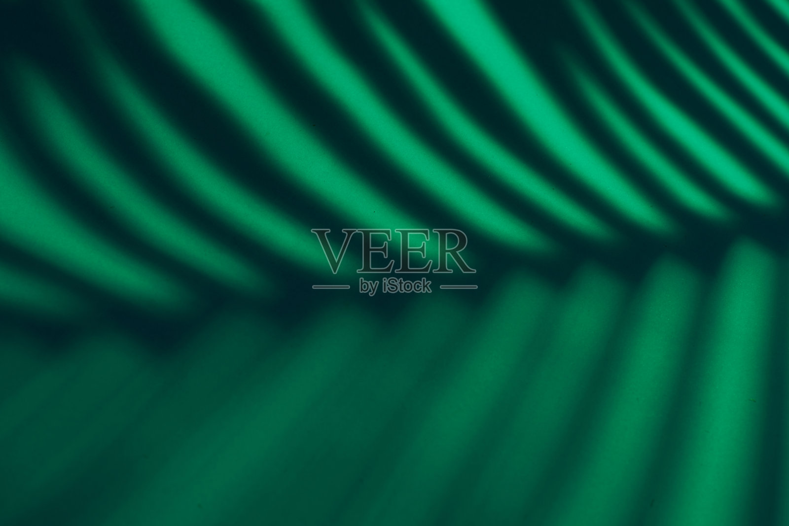 美丽的怪物留下阴影彩色背景在人造光照片摄影图片