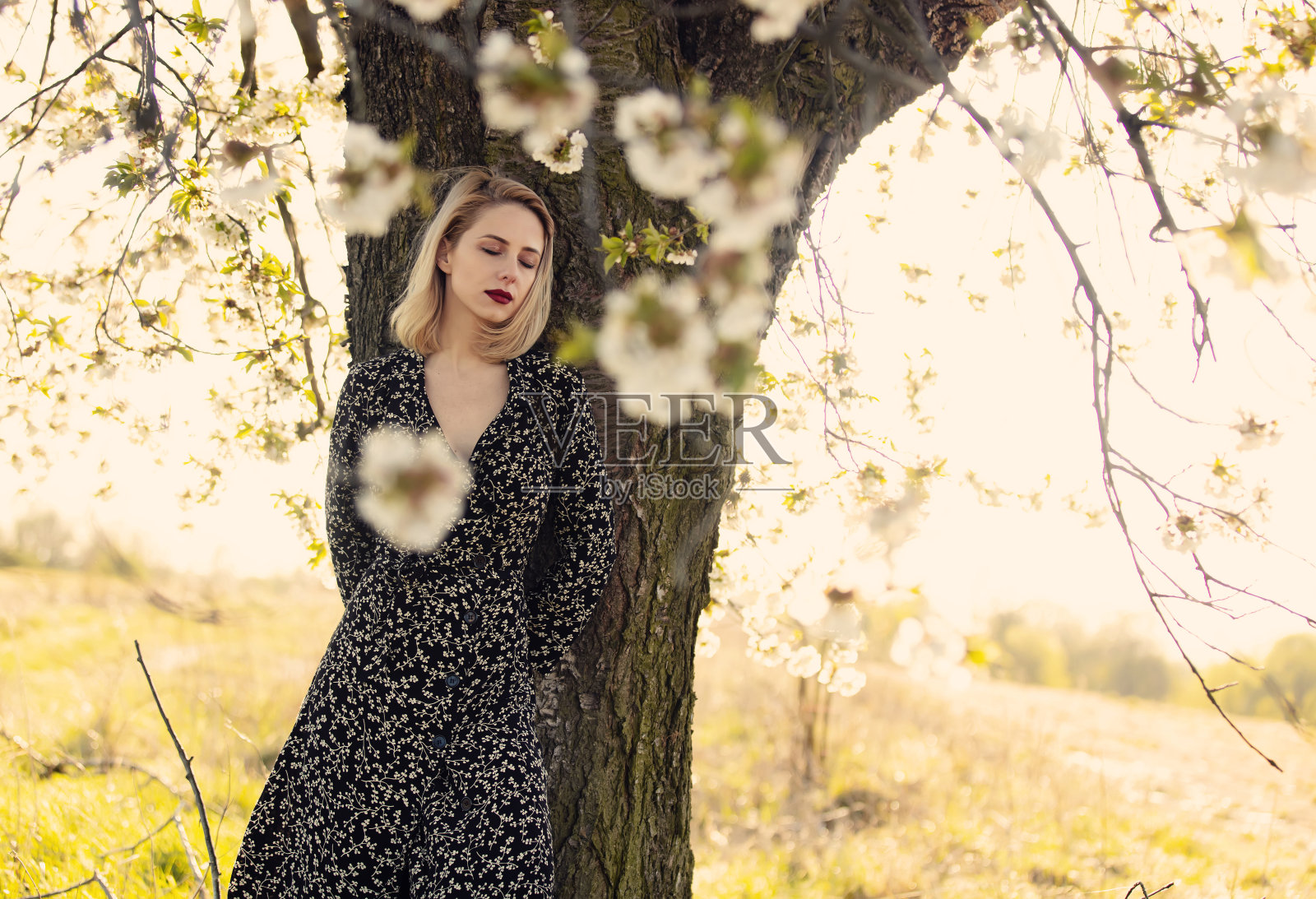 在夕阳下的乡村，金发女孩在盛开的树旁照片摄影图片