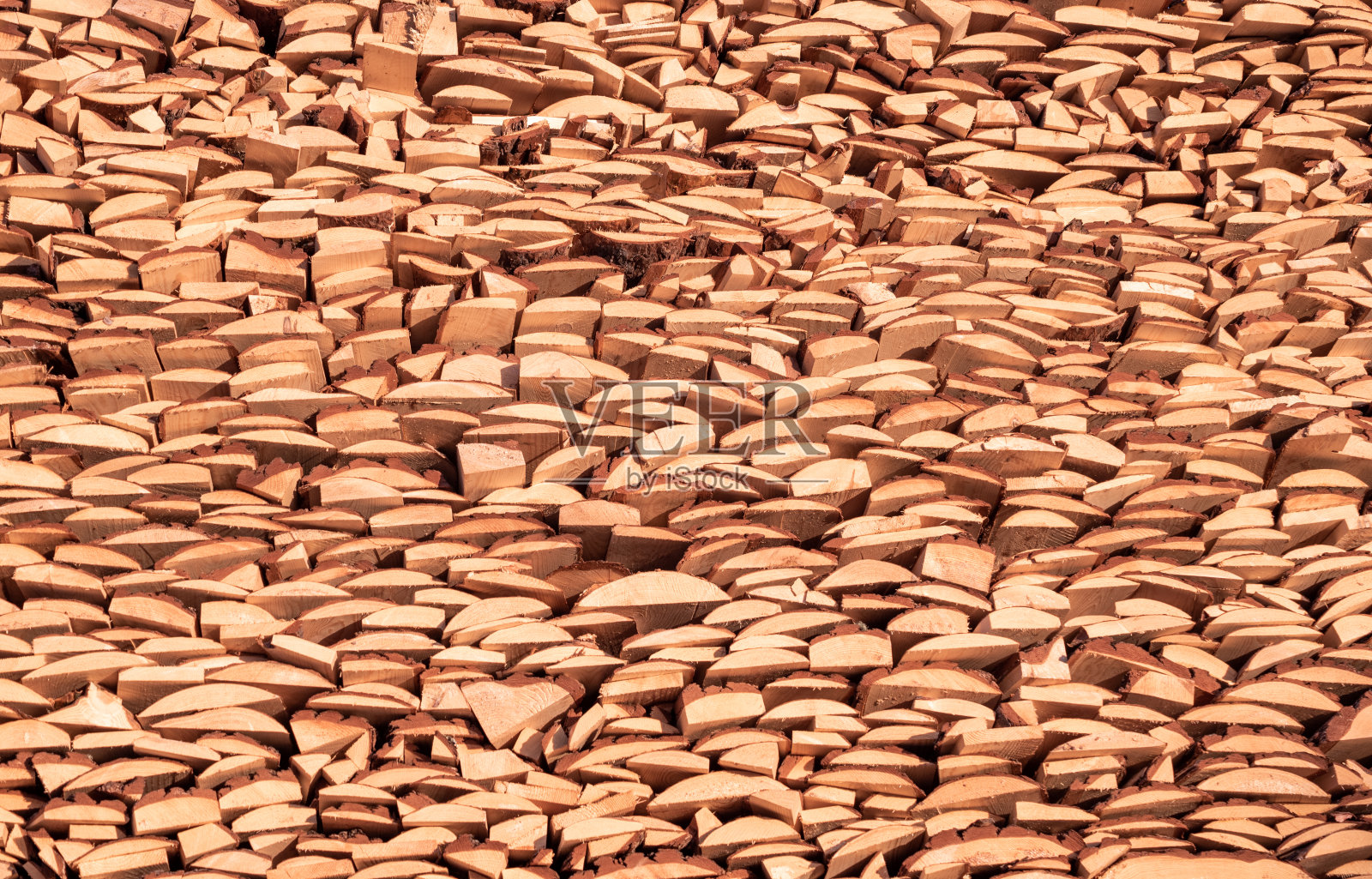 在森林工厂修剪木材照片摄影图片