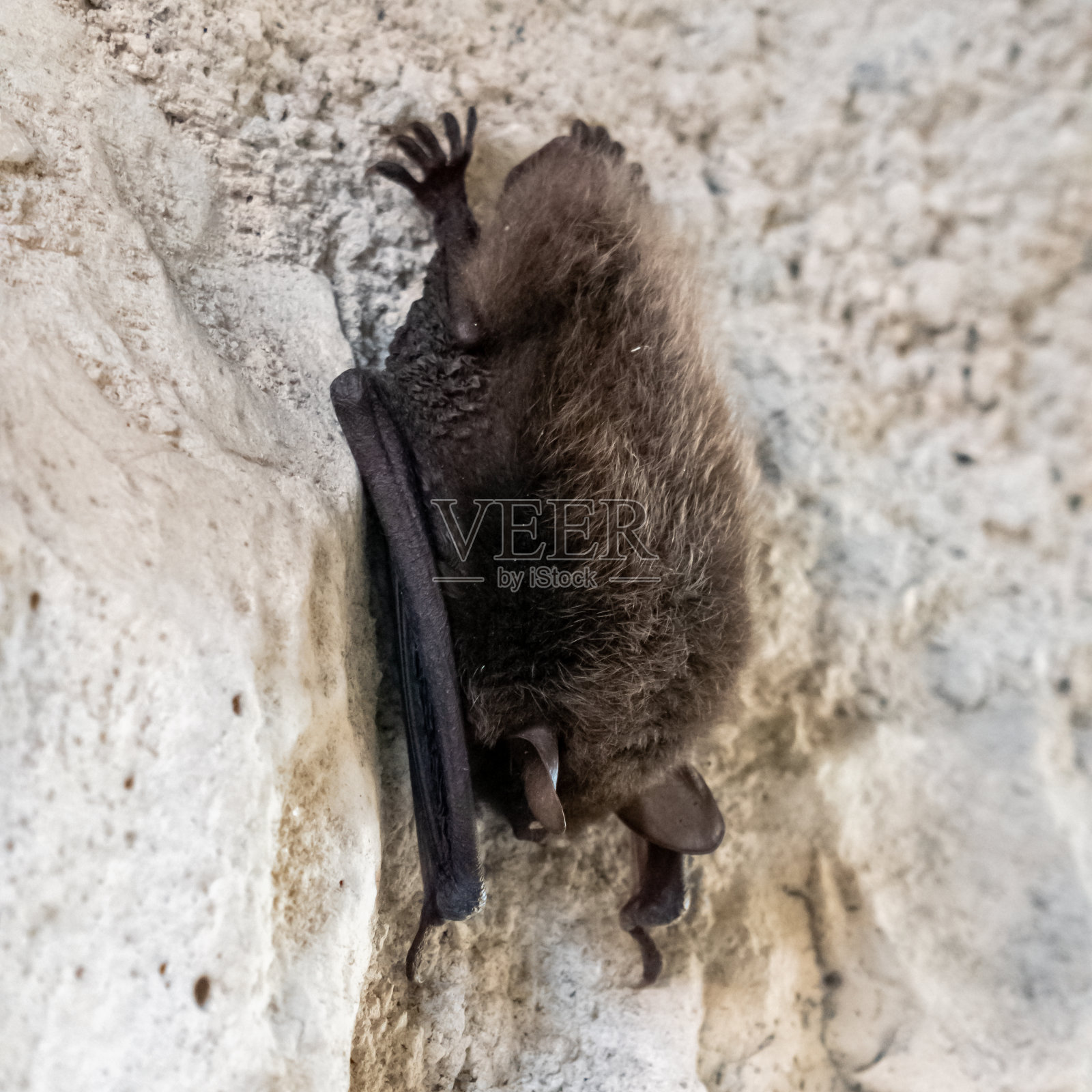 垮掉的一代照片摄影图片