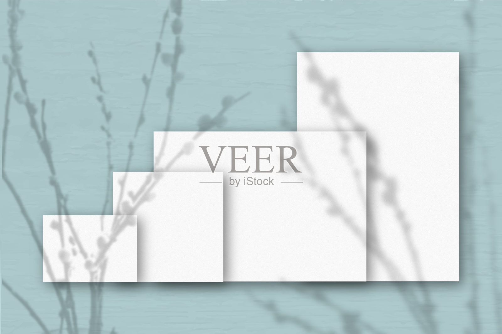 几张水平和垂直的白色纹理纸映衬着灰色的墙壁背景。模型与植物阴影覆盖。自然光在柳枝上投下阴影插画图片素材