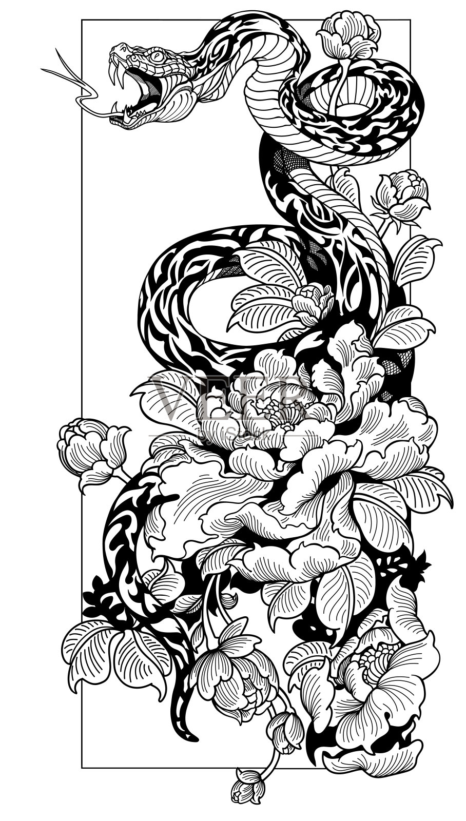 蛇和牡丹花。黑白插图插画图片素材