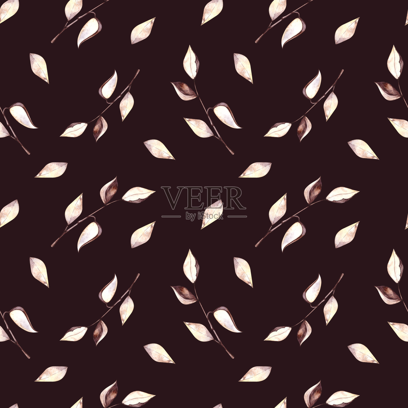 水彩棉和干叶插画图片素材