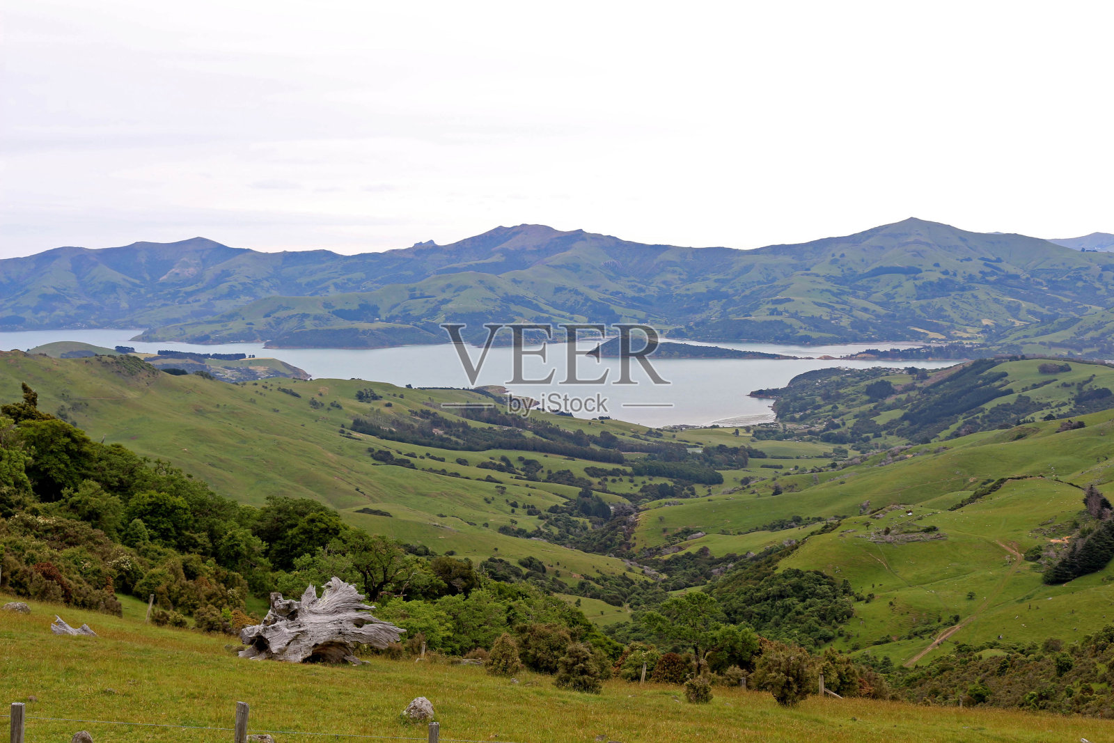 银行半岛照片摄影图片