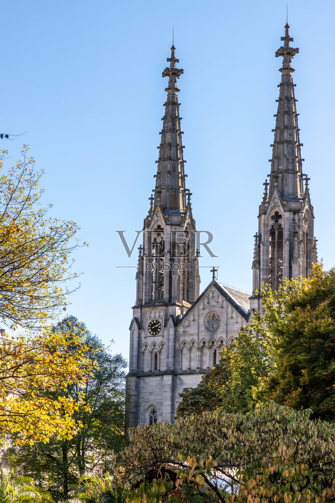 围绕着树的福音教堂照片摄影图片