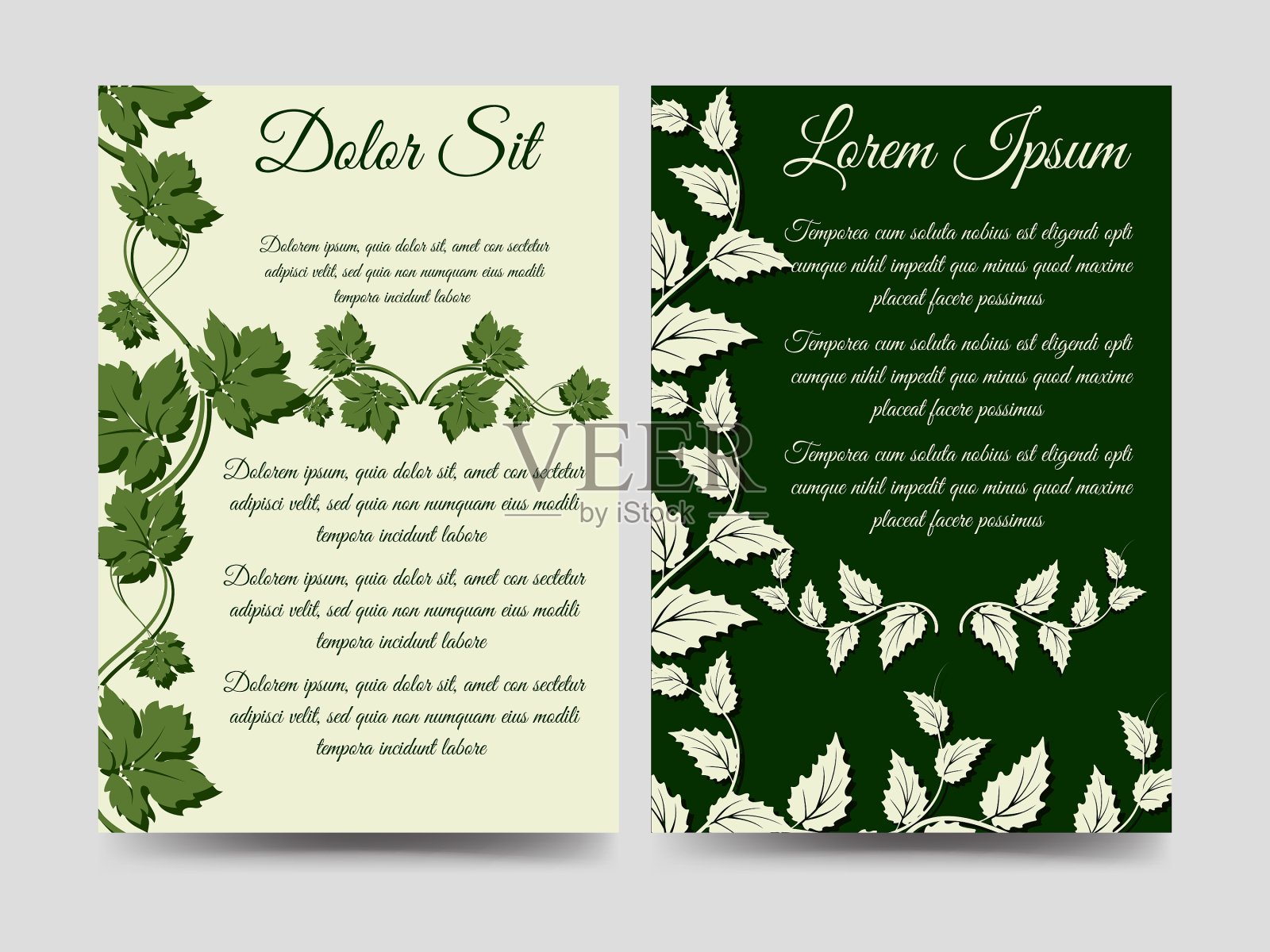 花卉手册模板的分支设计模板素材