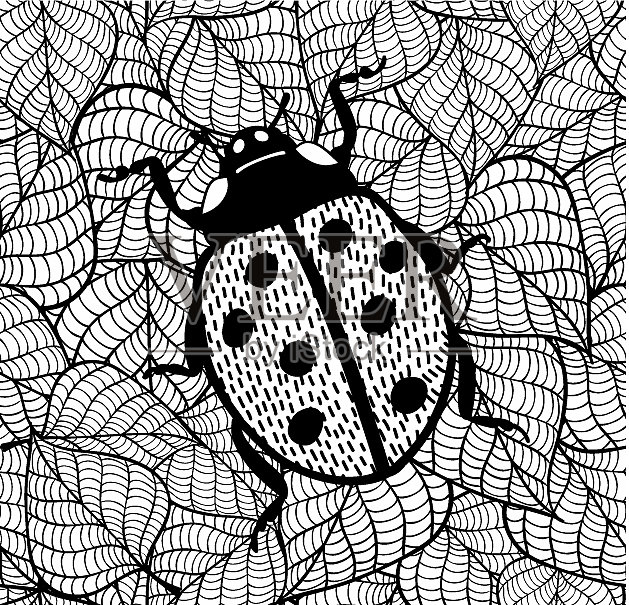 瓢虫涂鸦虫装饰插画图片素材