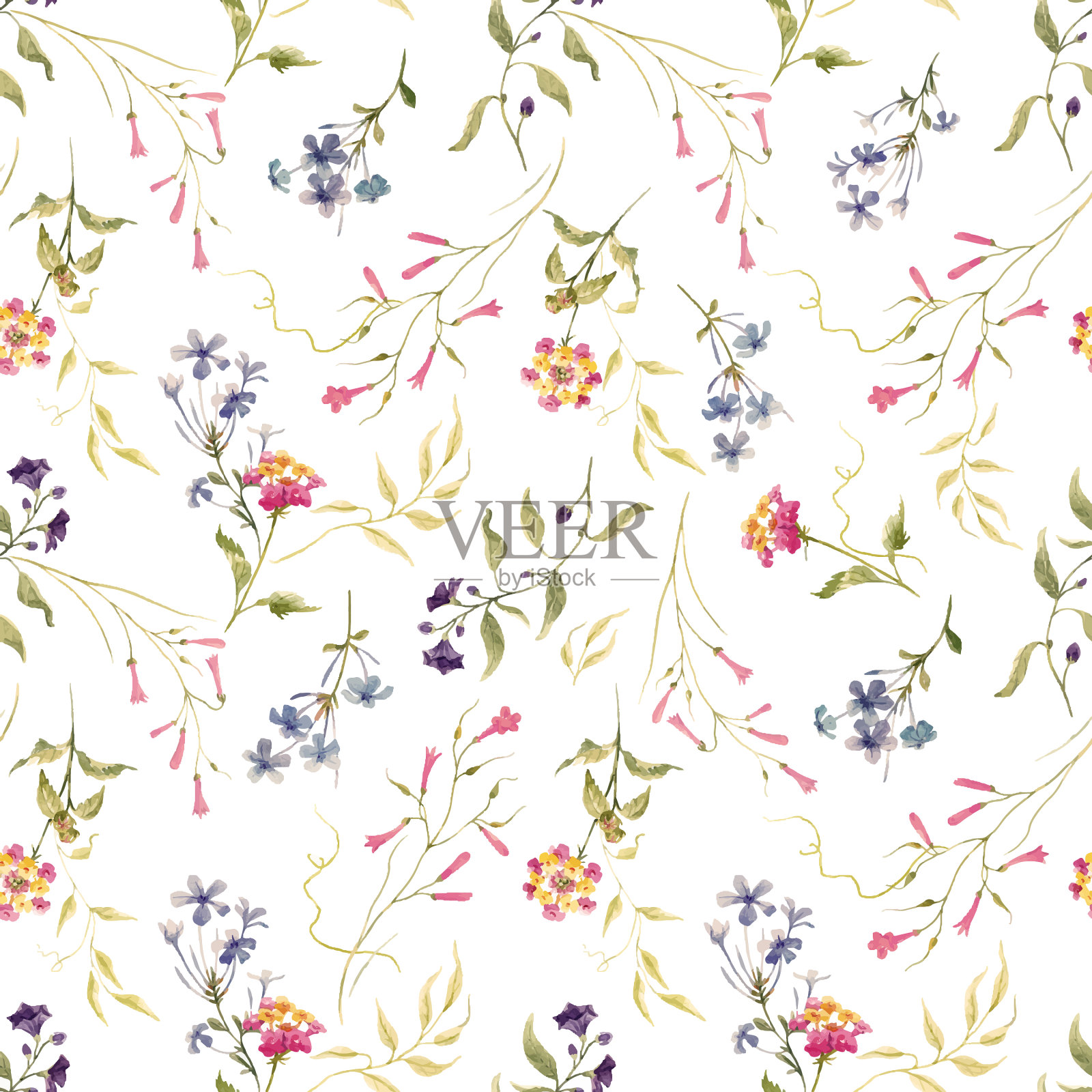 水彩花卉图案插画图片素材